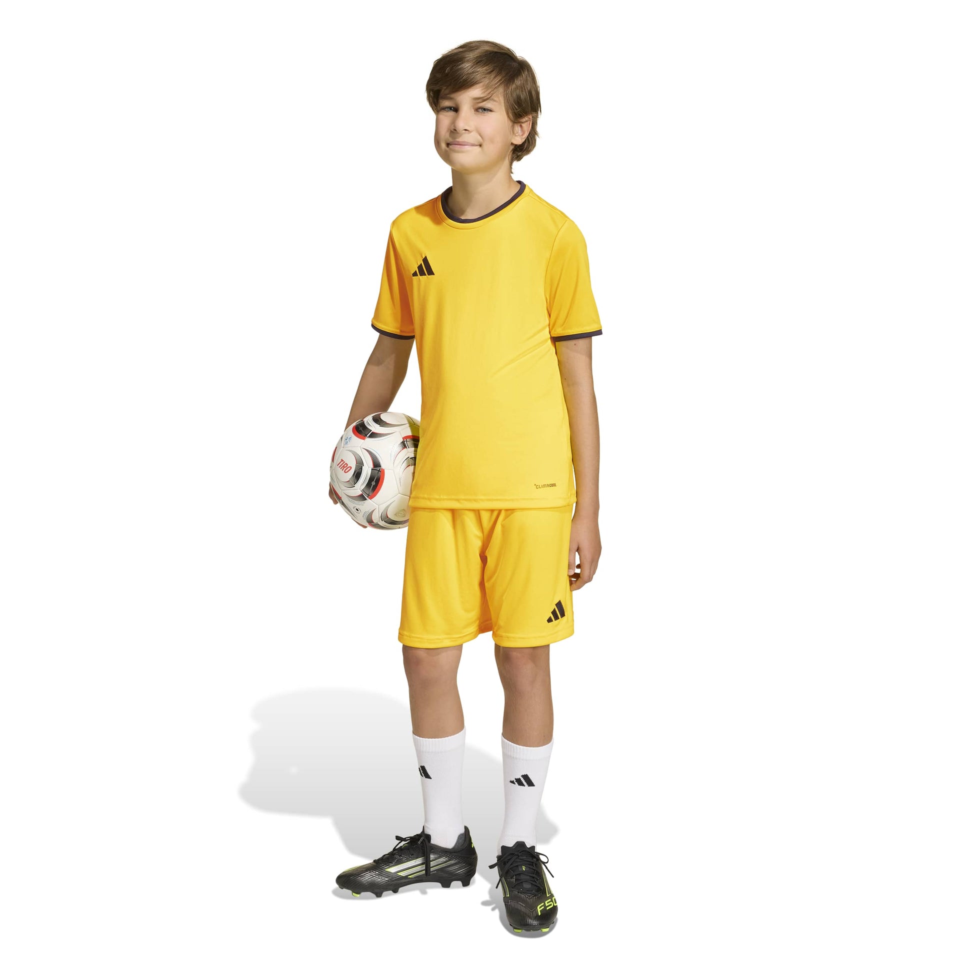 Team Yellow/Black