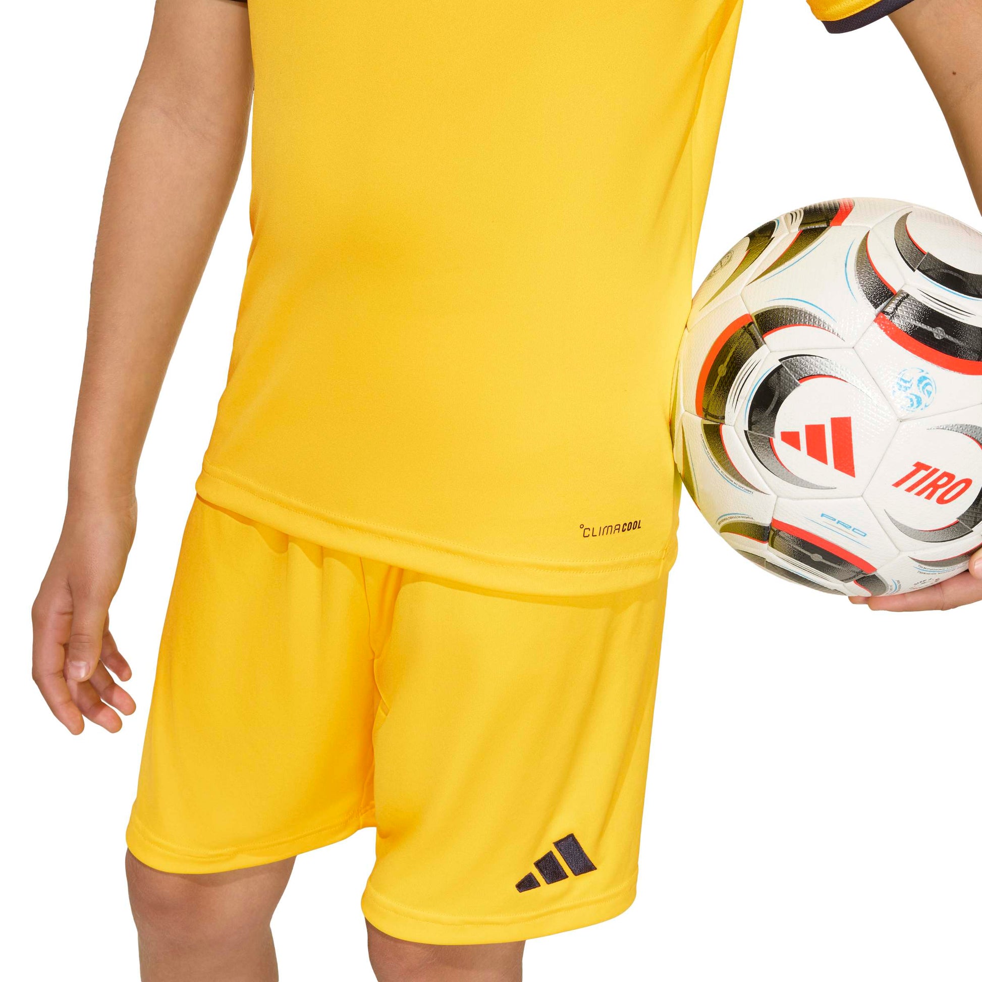 Team Yellow/Black