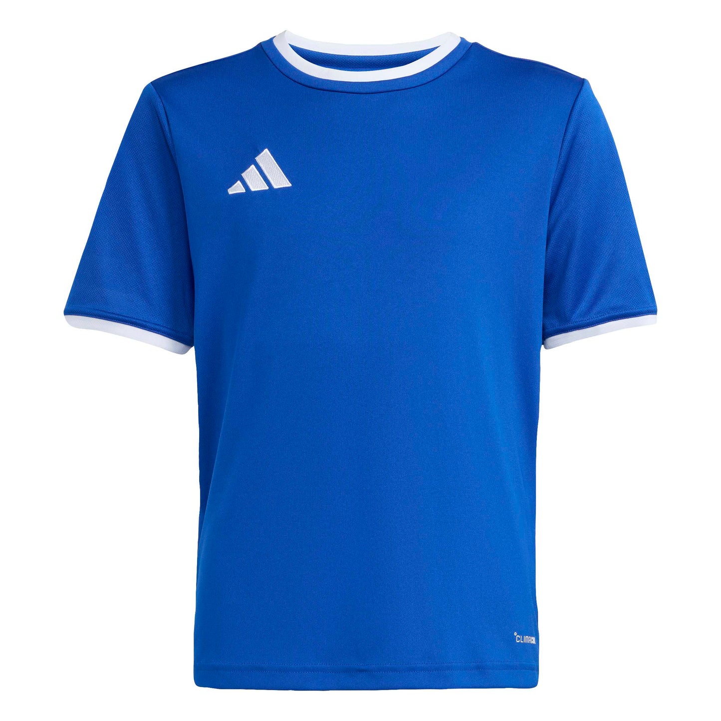 Team Royal Blue/White