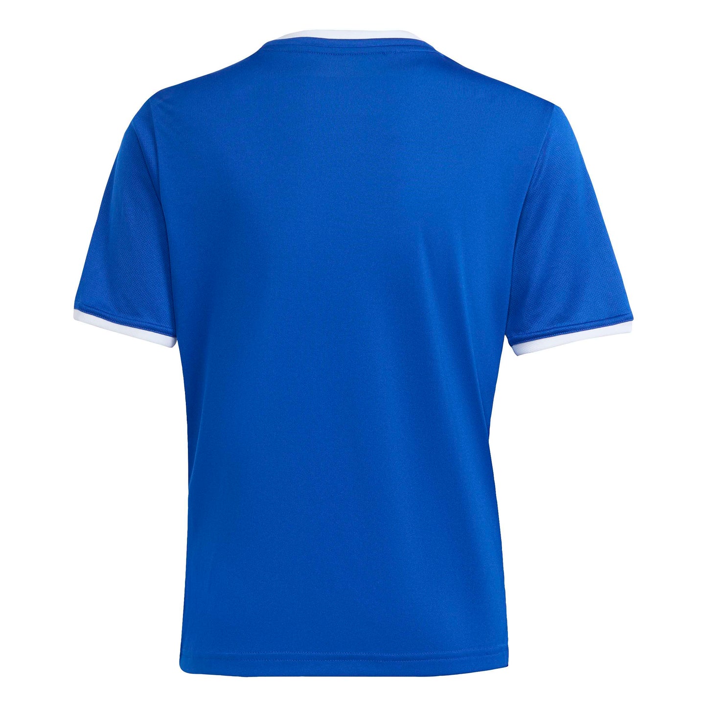 Team Royal Blue/White