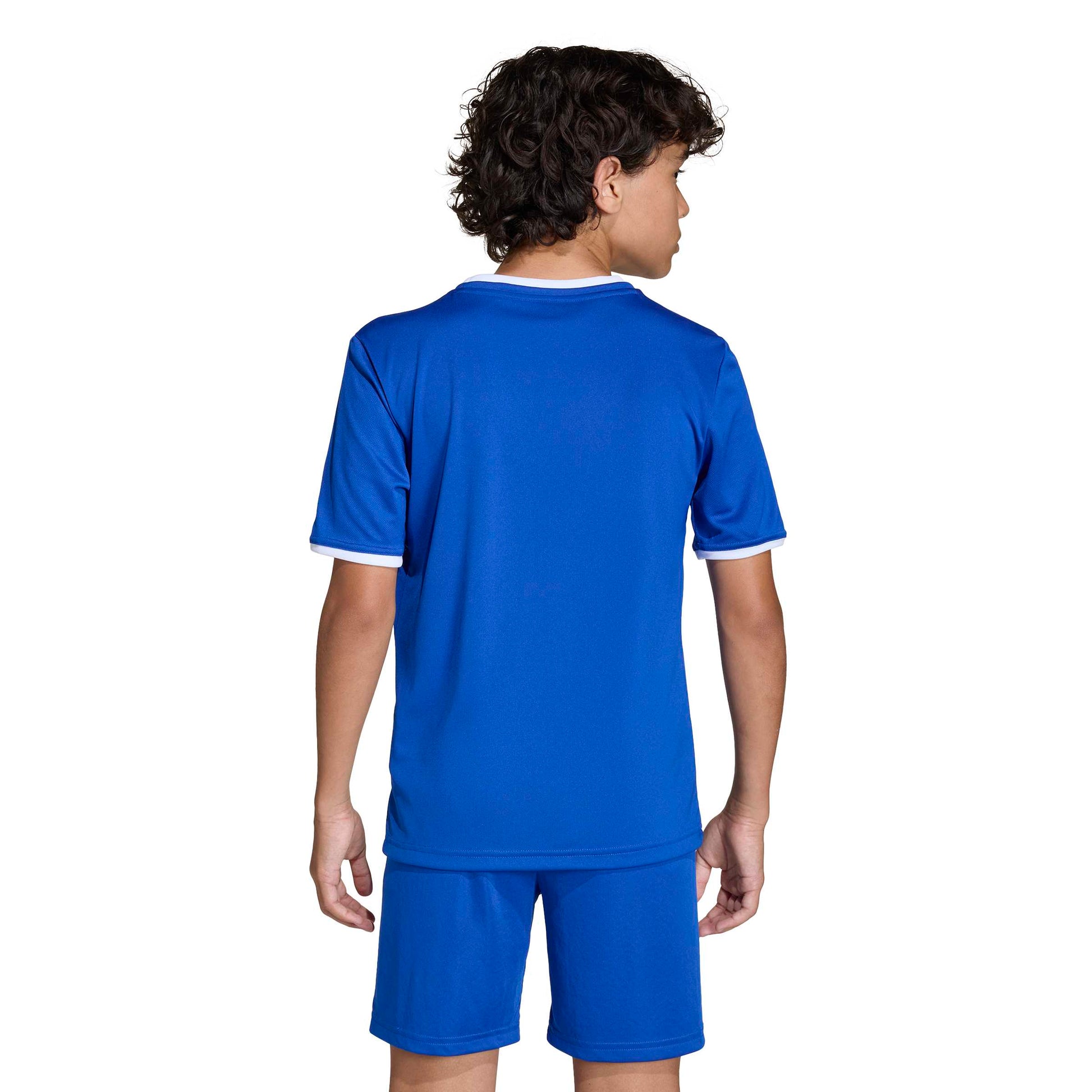 Team Royal Blue/White