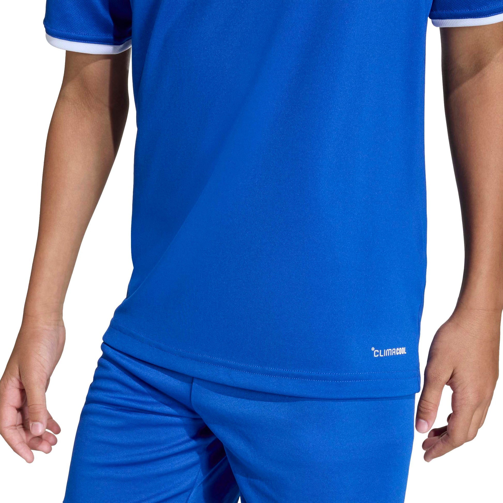 Team Royal Blue/White