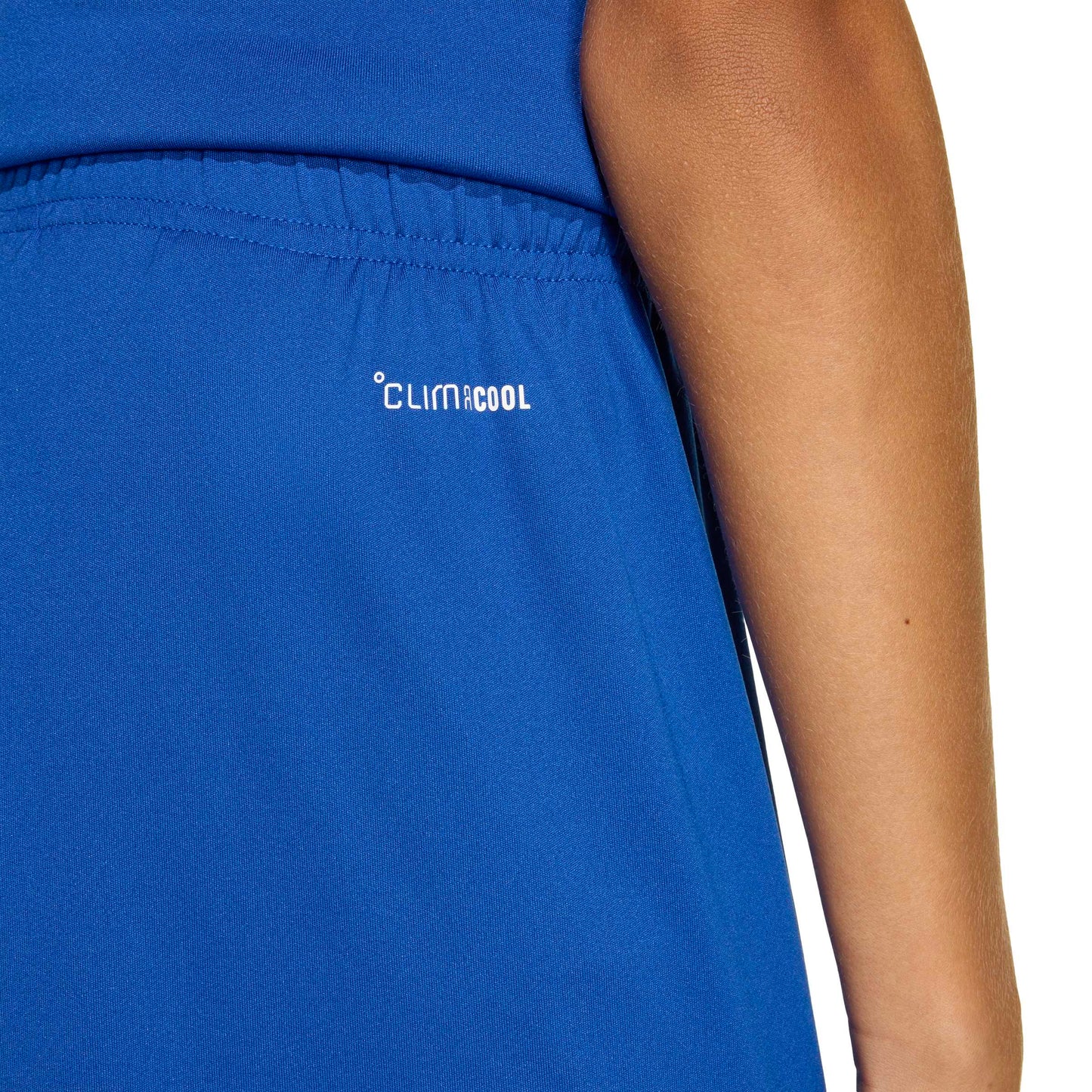 Team Royal Blue/White