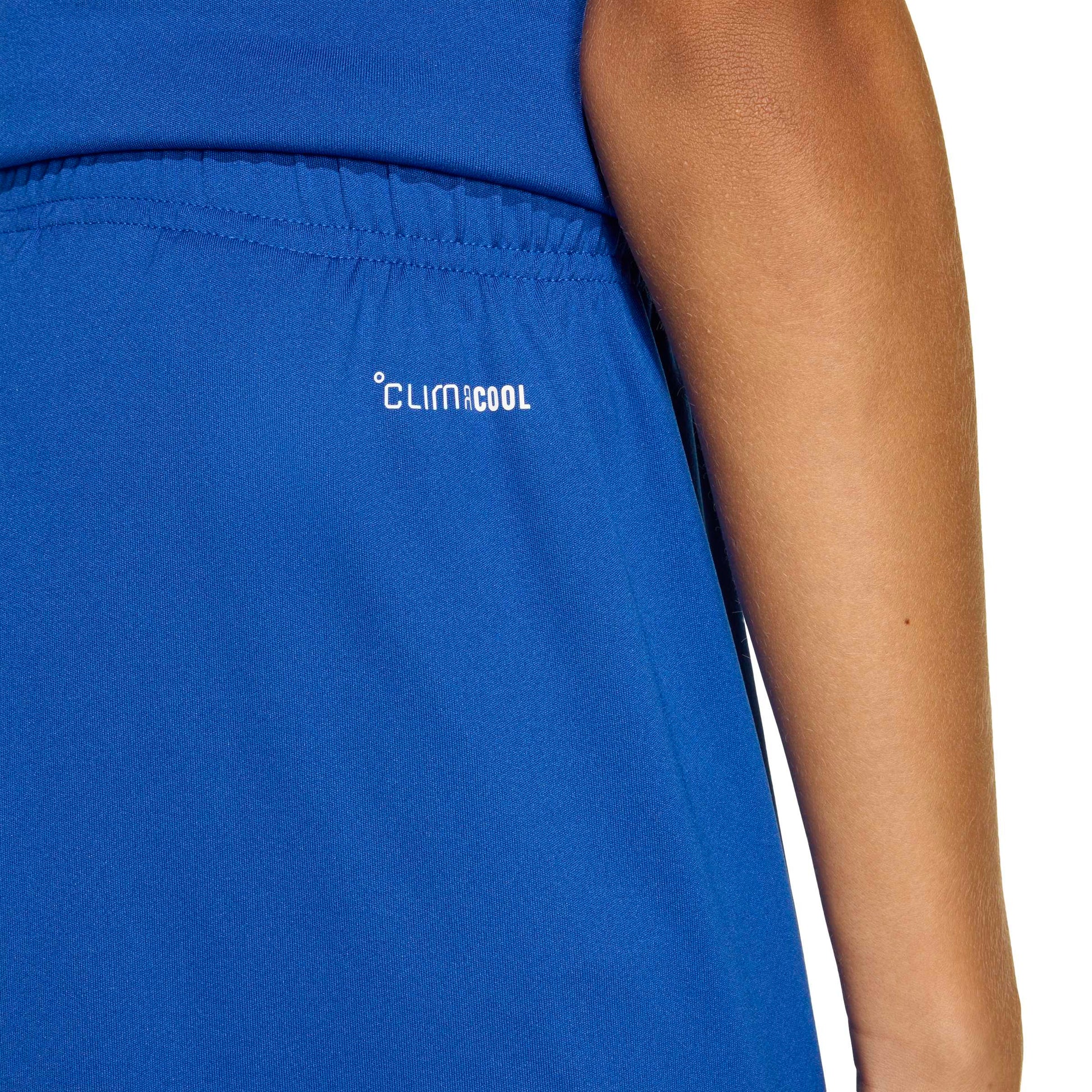 Team Royal Blue/White