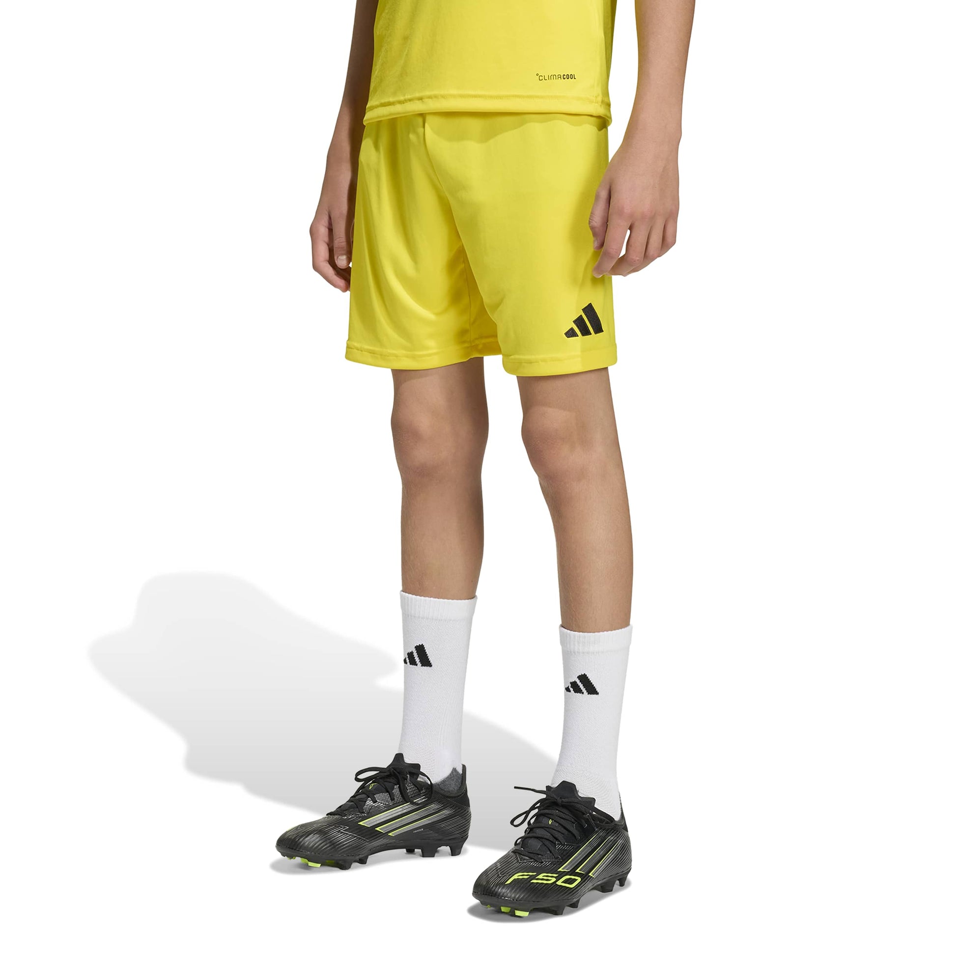 Team Yellow/Black