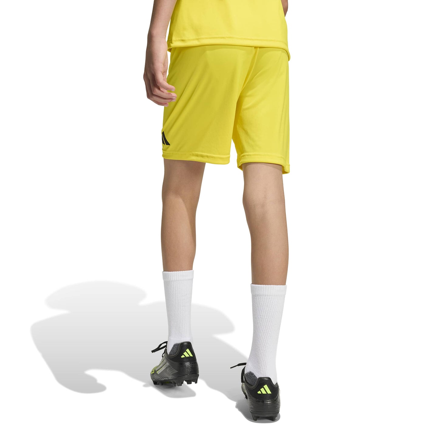 Team Yellow/Black