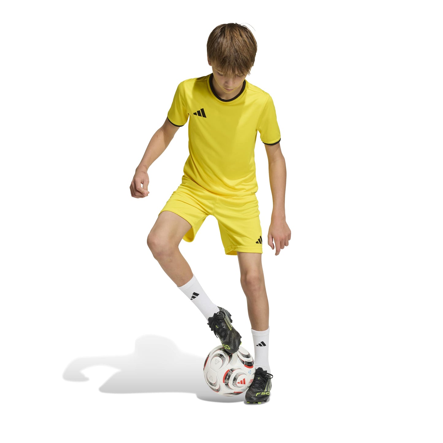 Team Yellow/Black