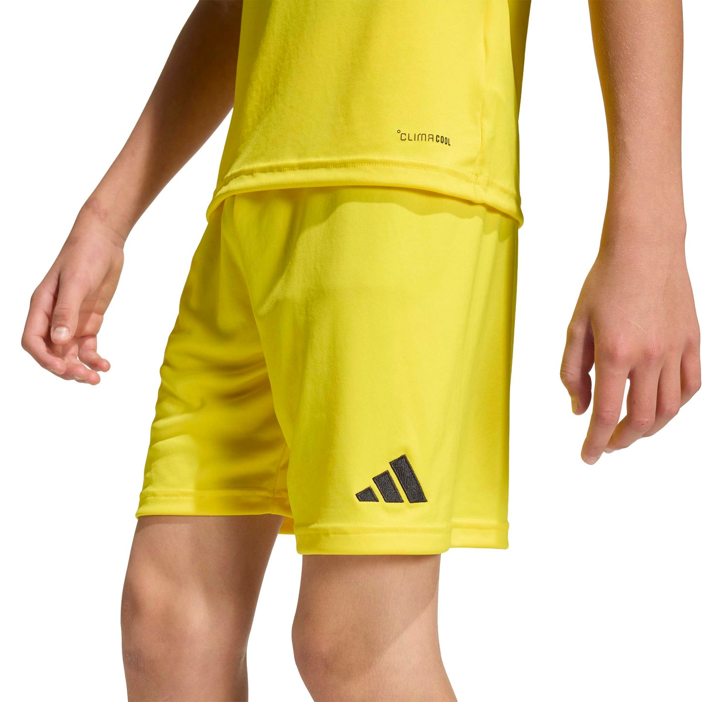 Team Yellow/Black