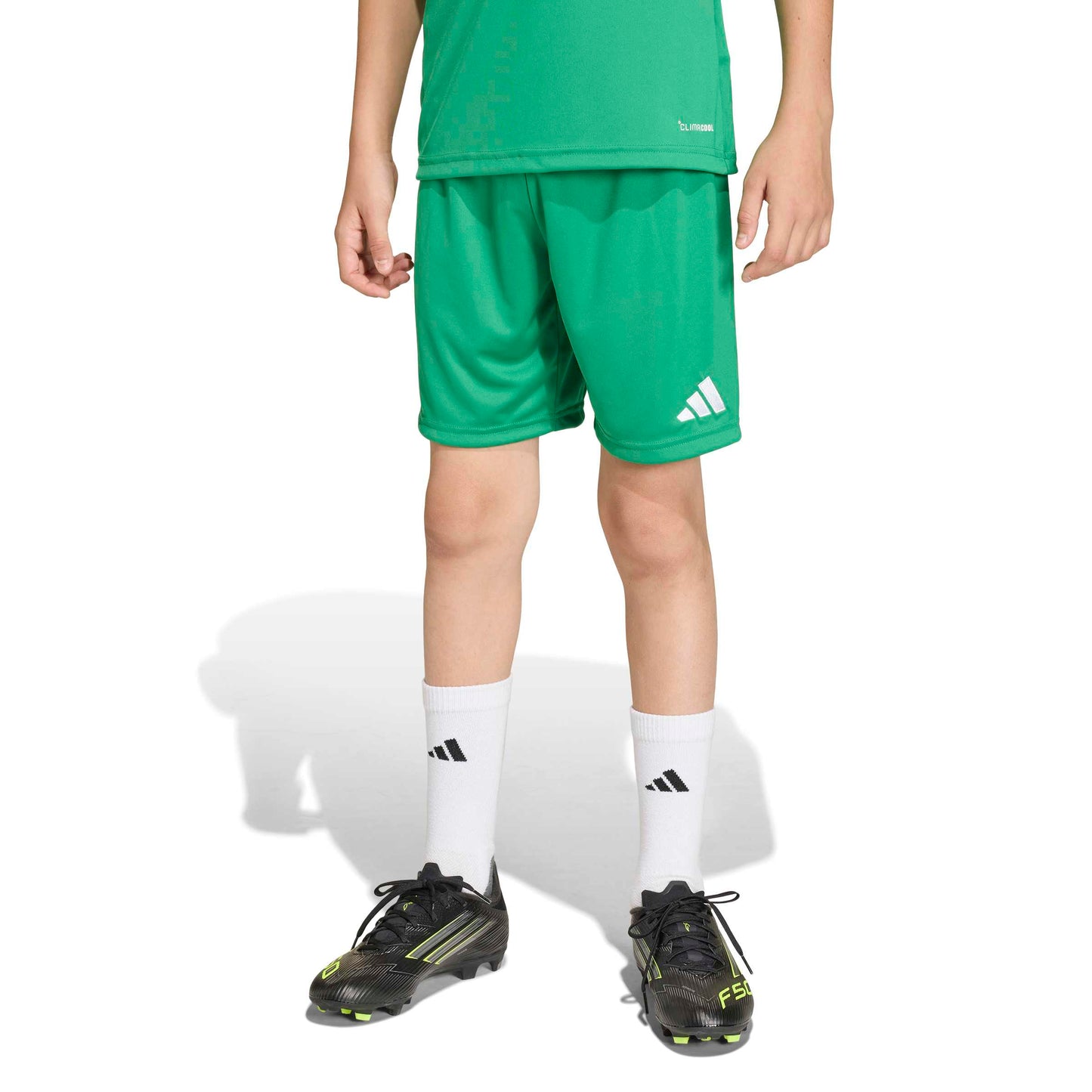 Team Green/White