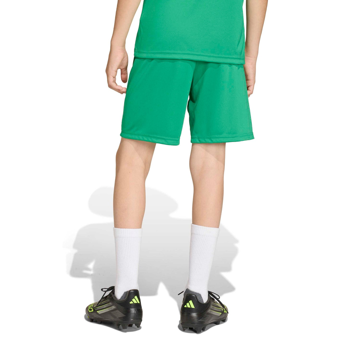 Team Green/White