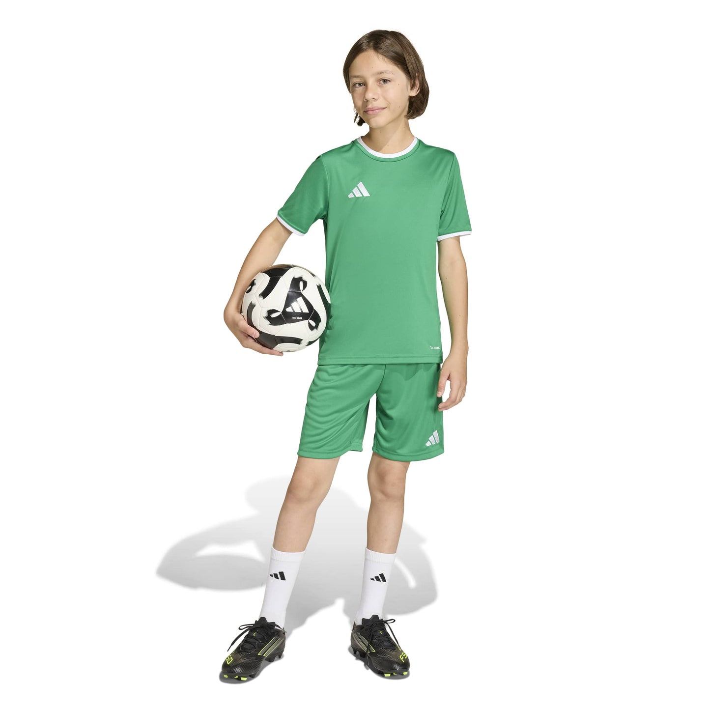 Team Green/White