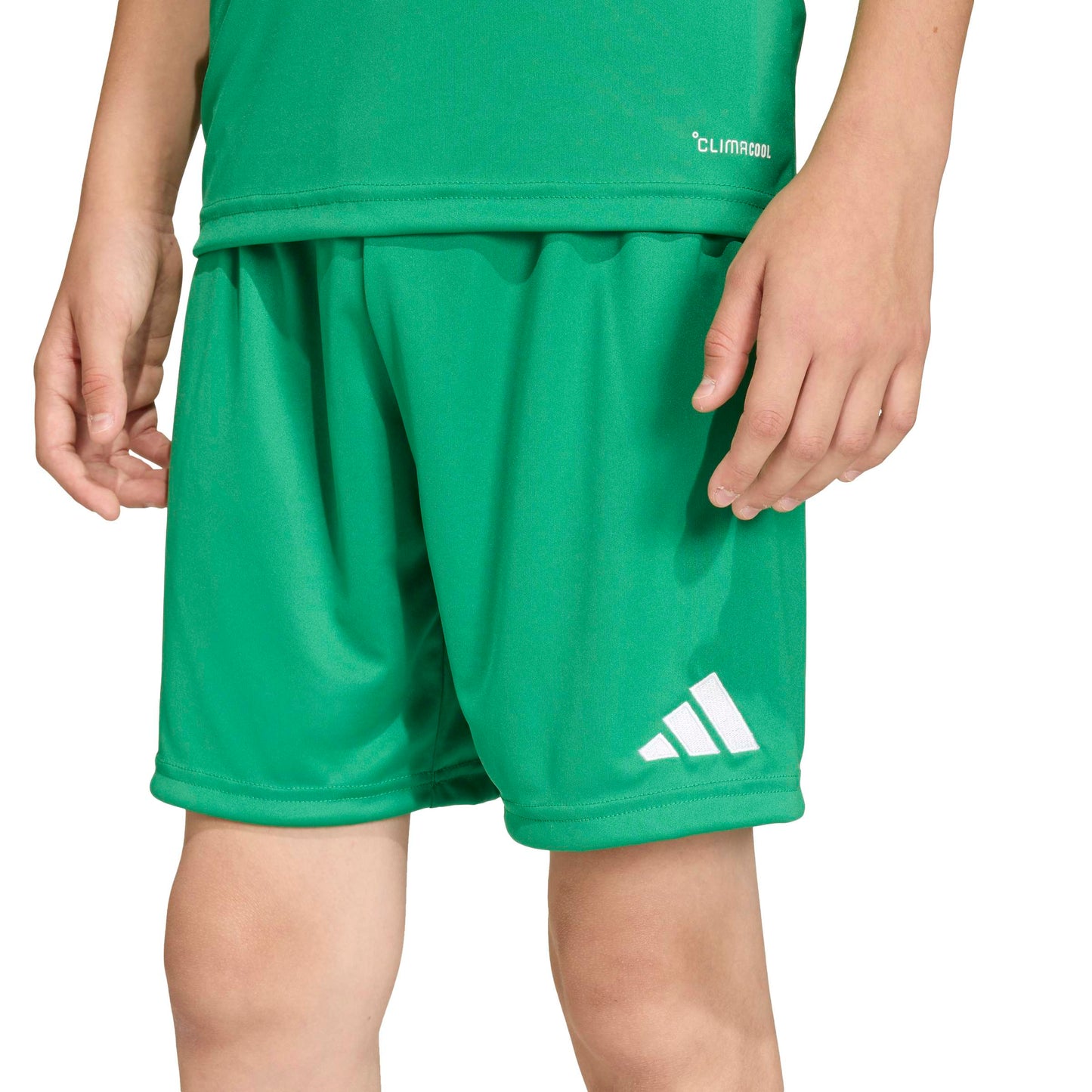 Team Green/White