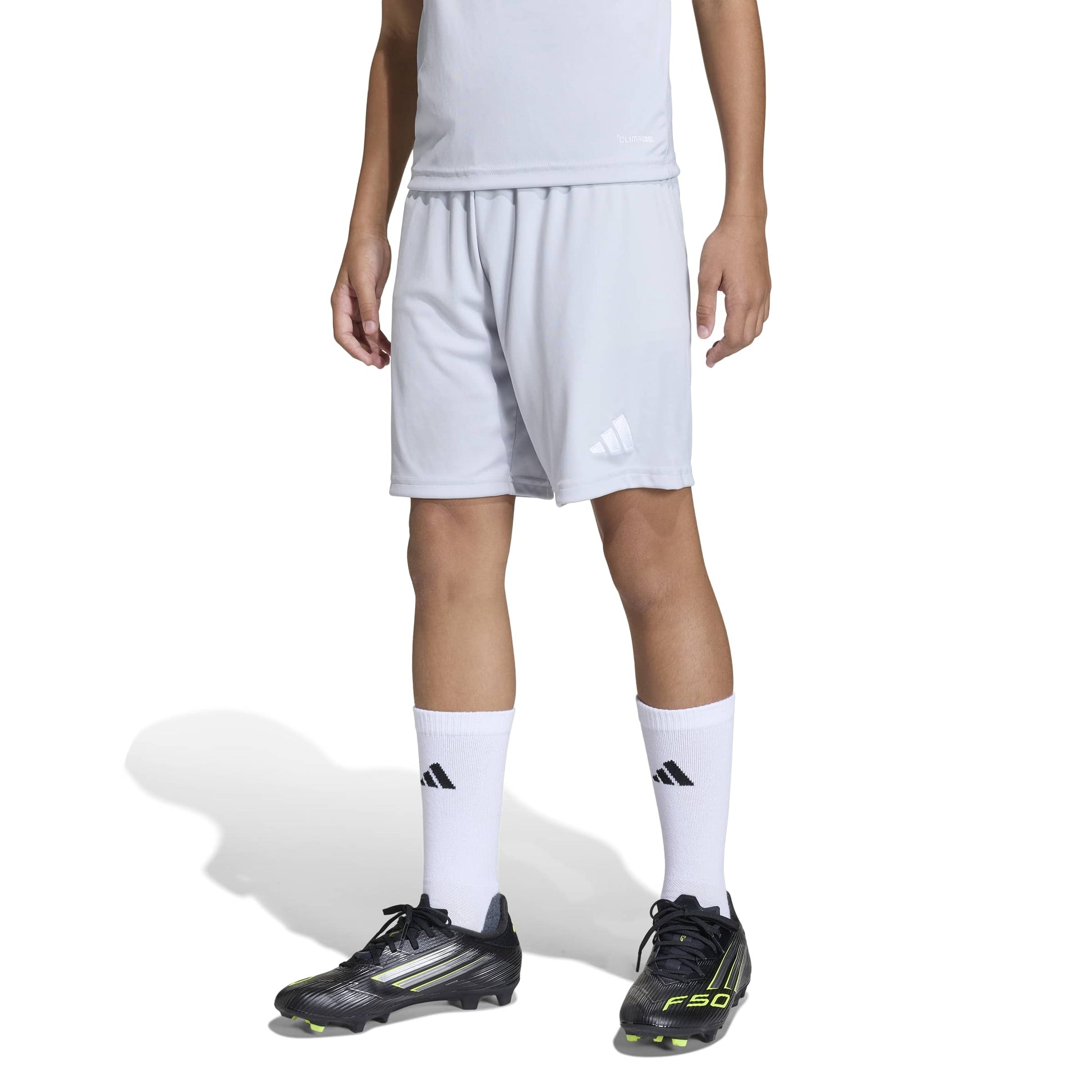 Team Light Grey/White