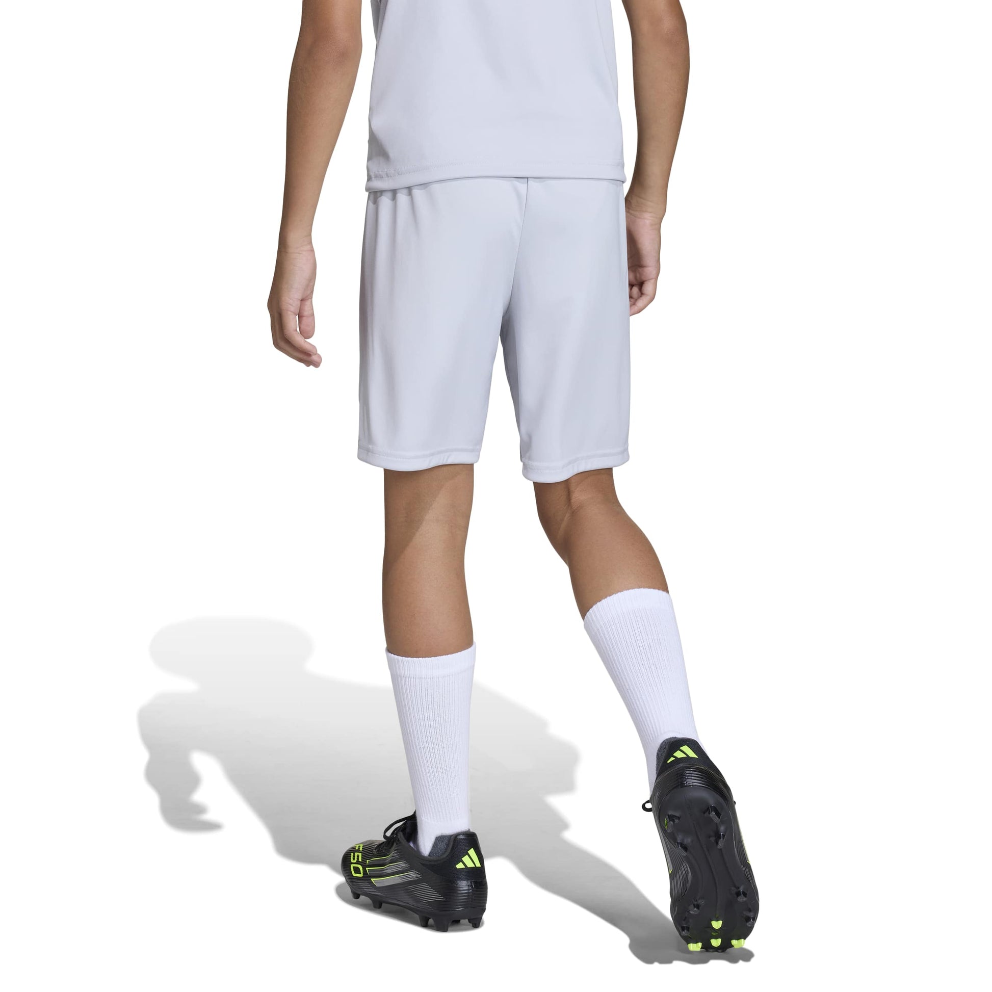 Team Light Grey/White
