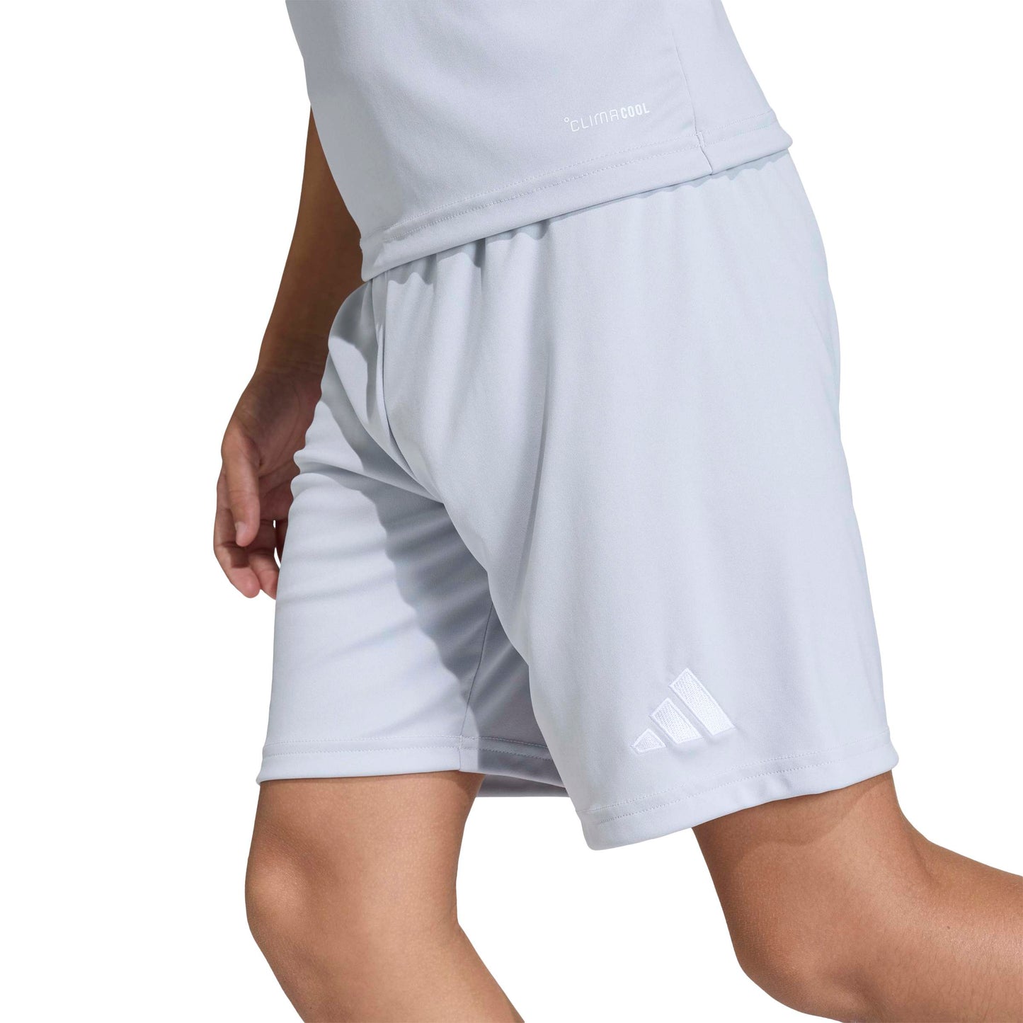 Team Light Grey/White