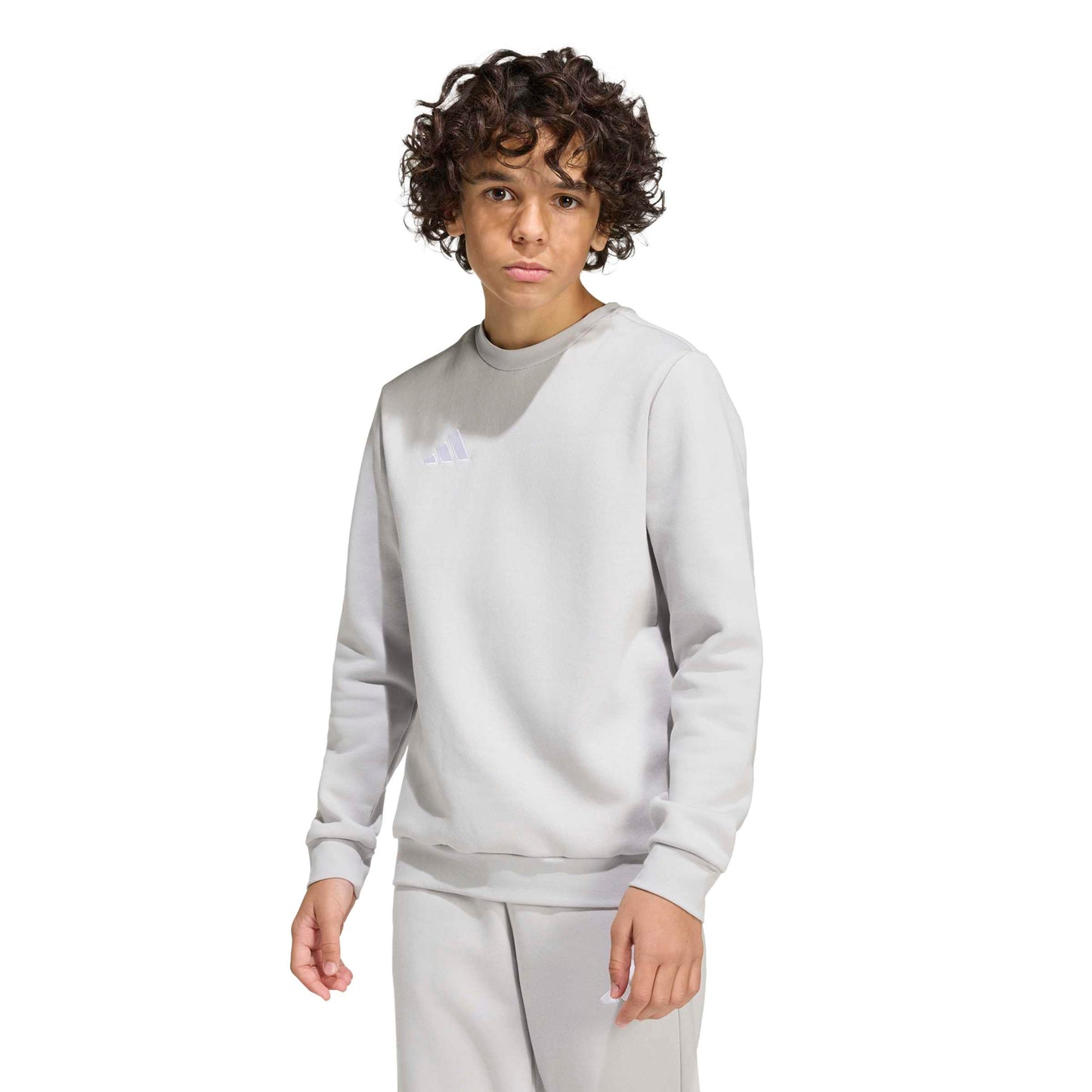 Team Light Grey/White