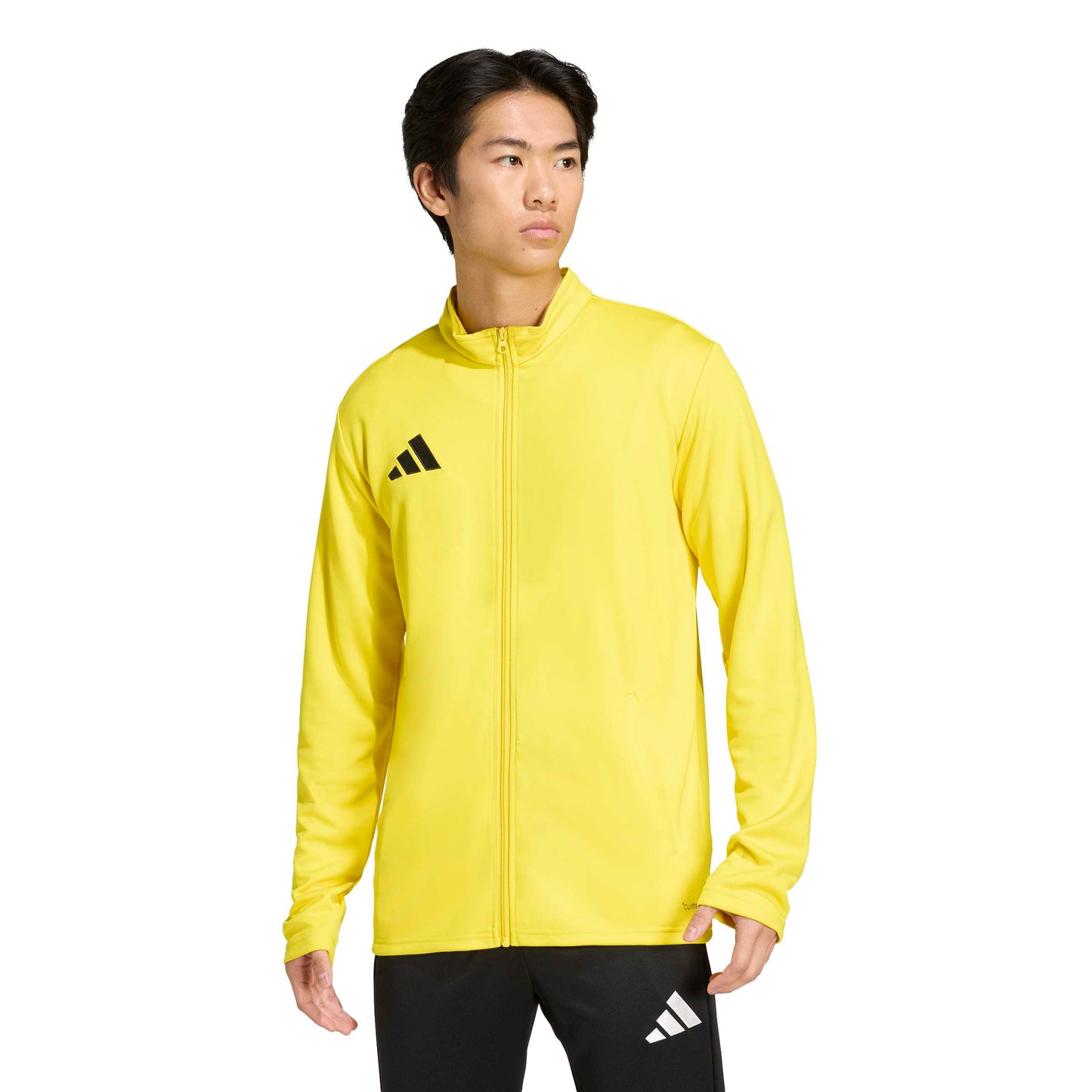 Team Yellow/Black