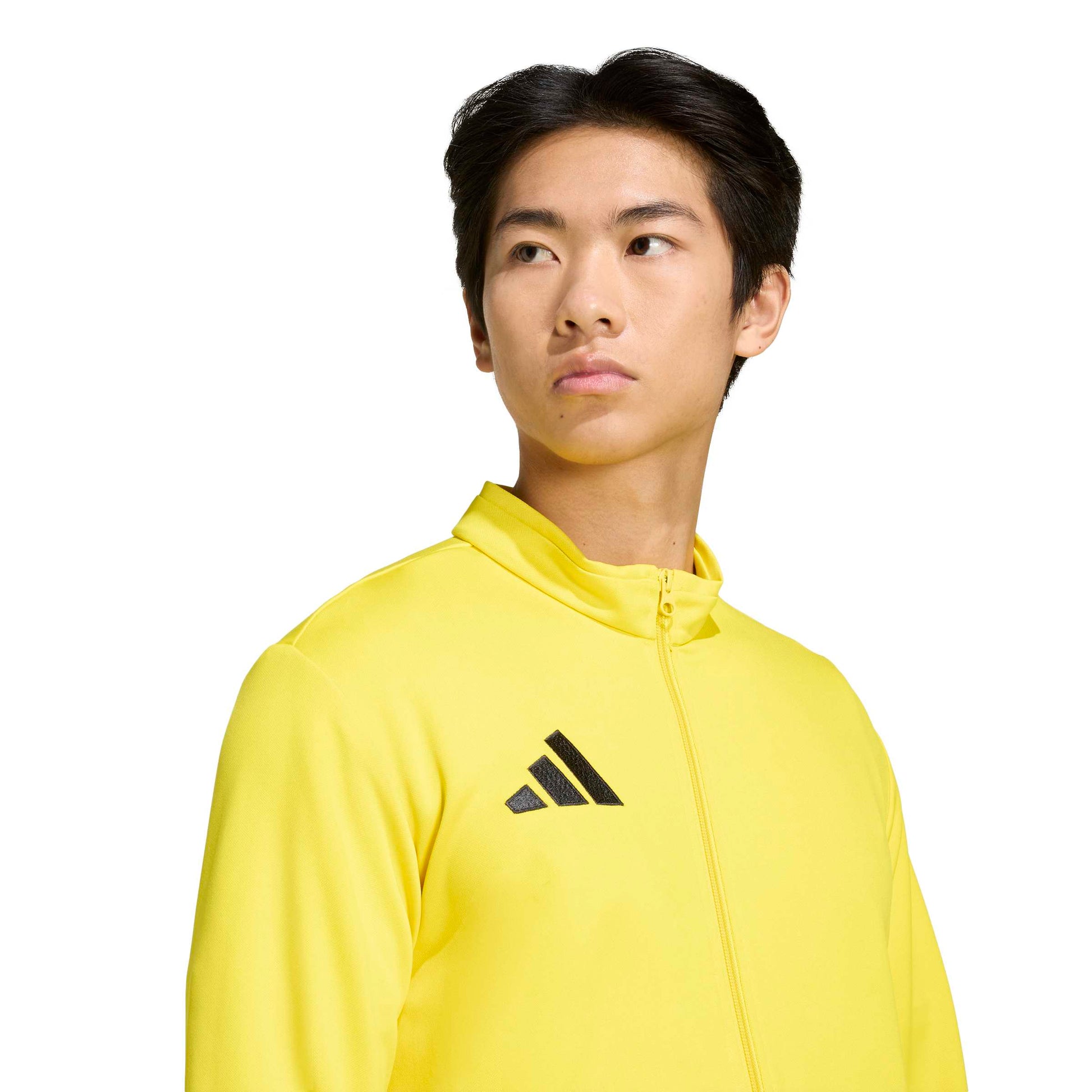 Team Yellow/Black