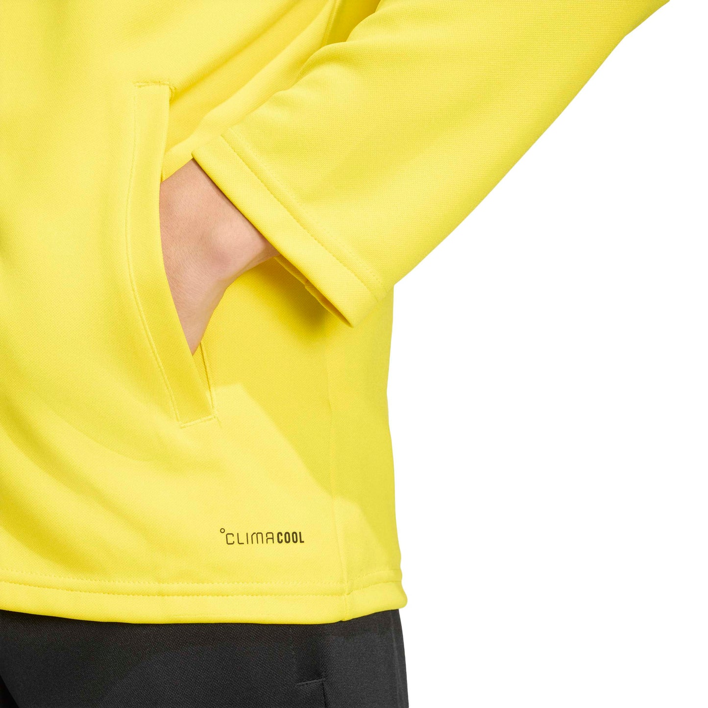 Team Yellow/Black