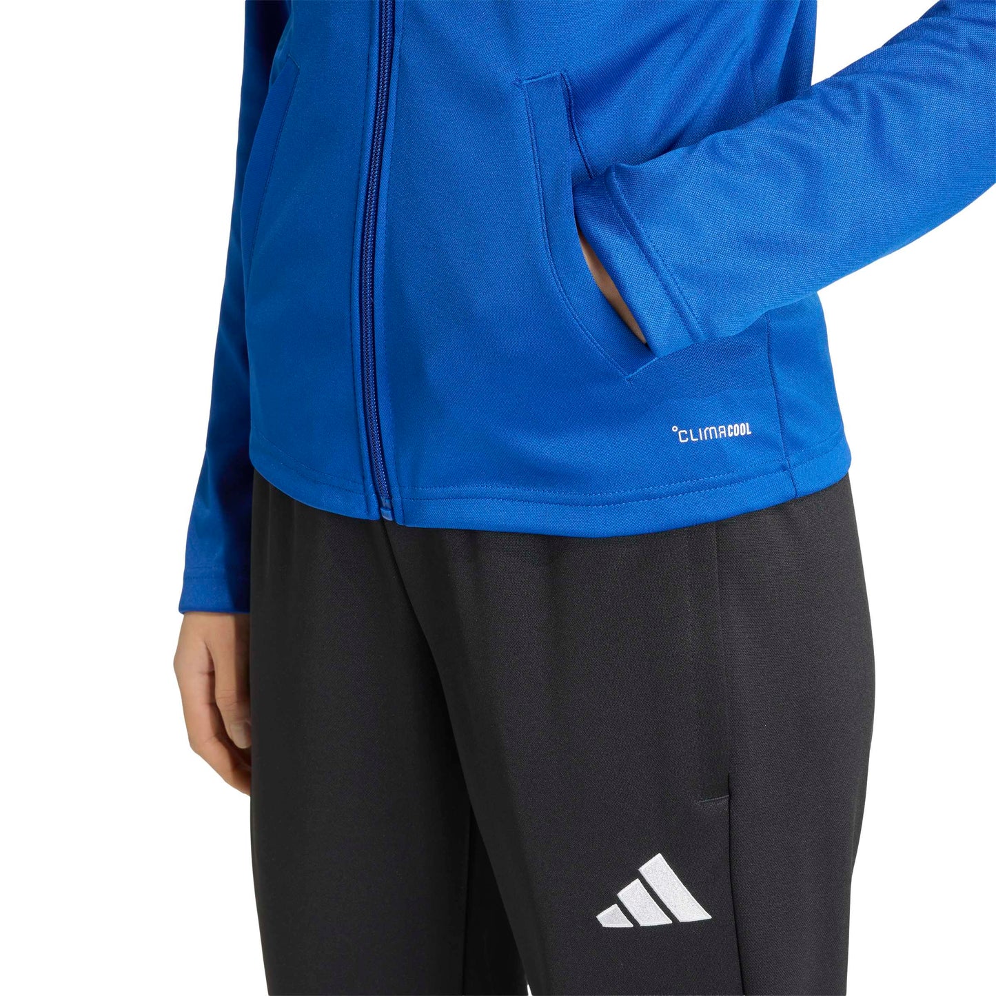 Team Royal Blue/White