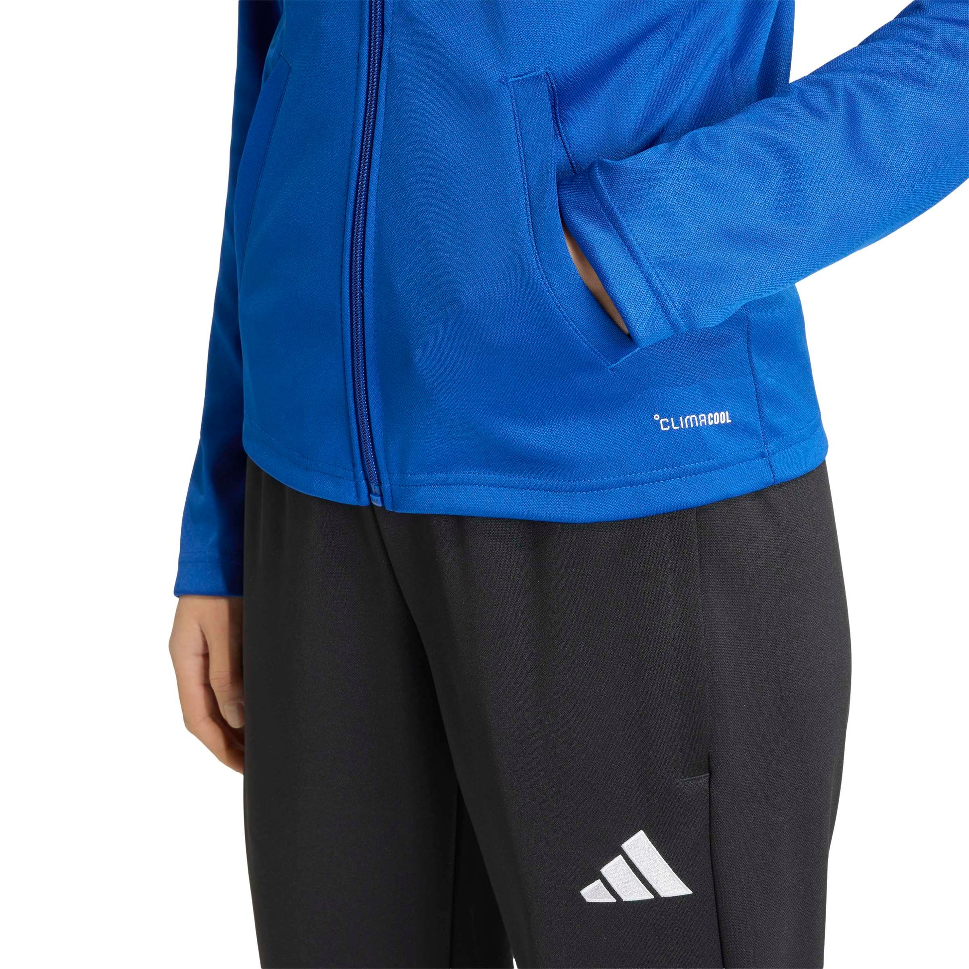 Team Royal Blue/White