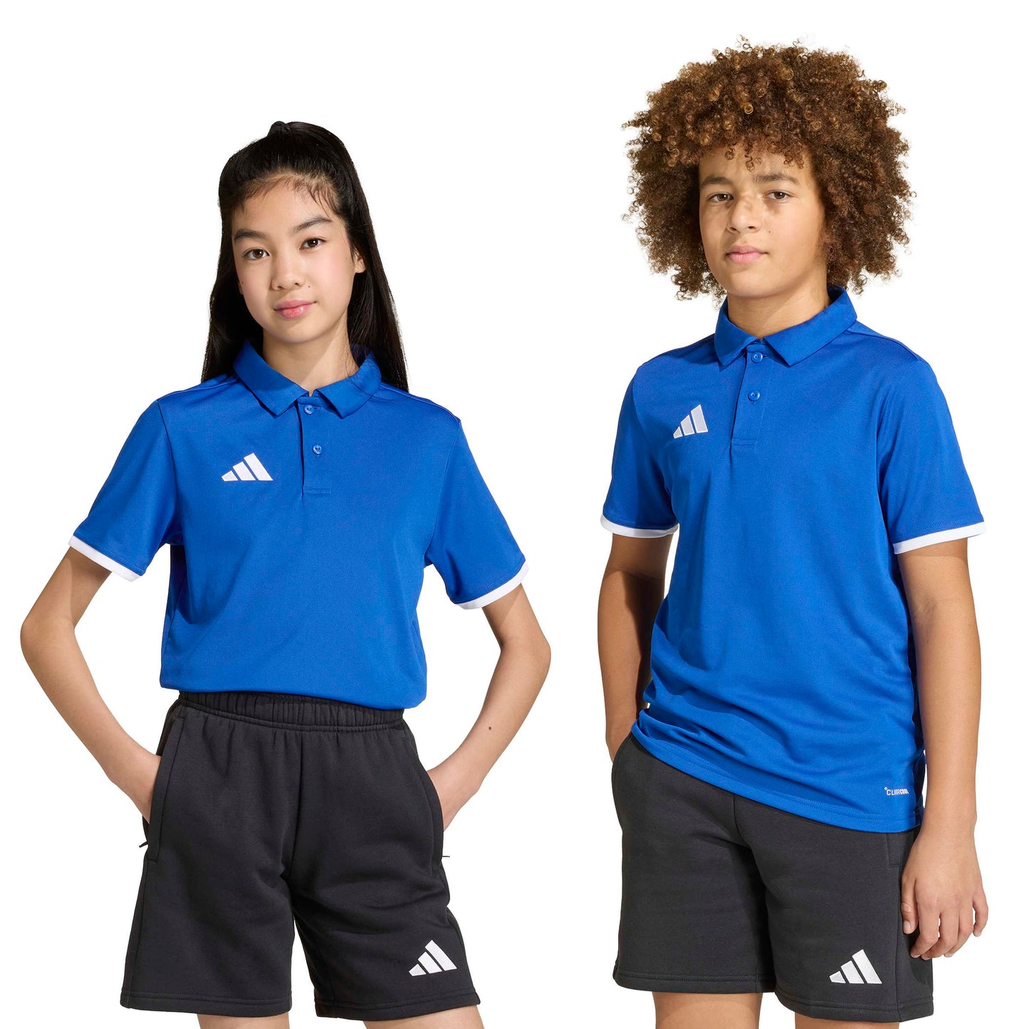 Team Royal Blue/White