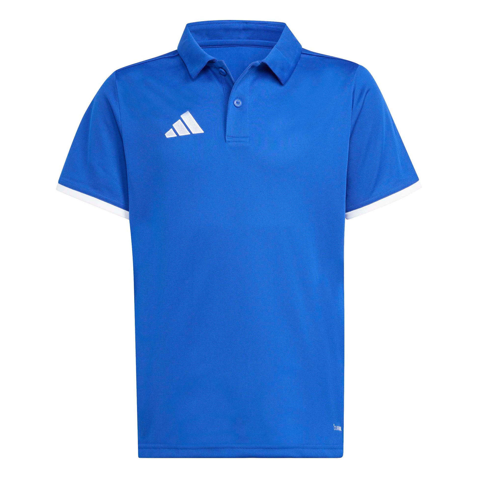 Team Royal Blue/White