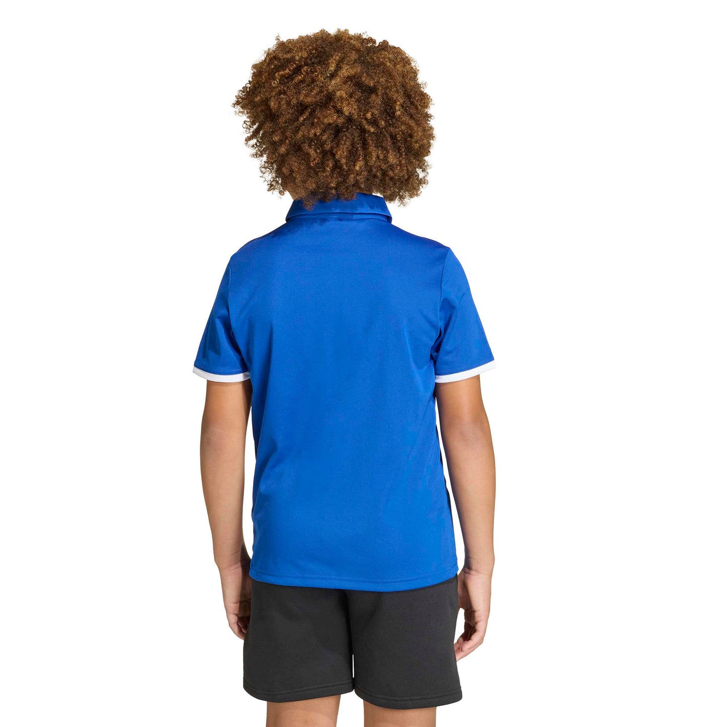 Team Royal Blue/White