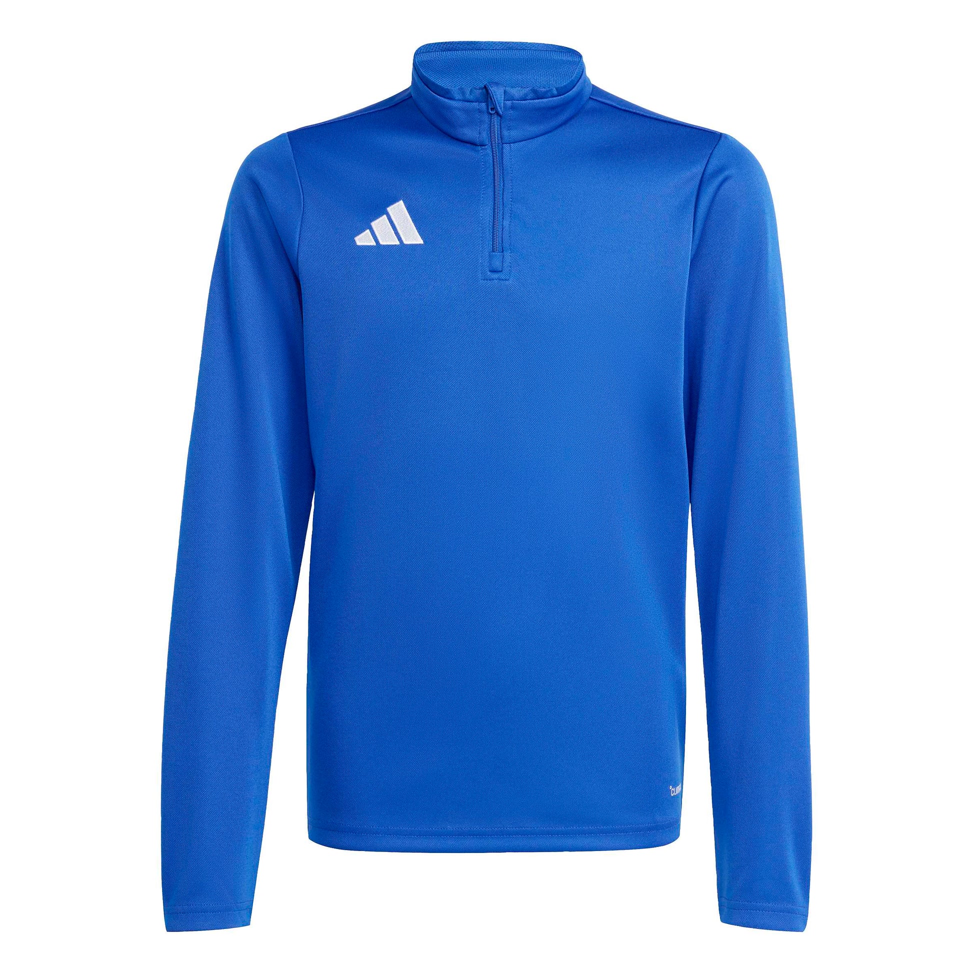 Team Royal Blue/White