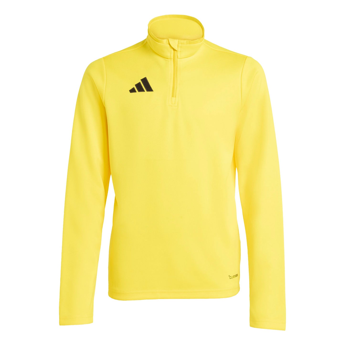 Team Yellow/White