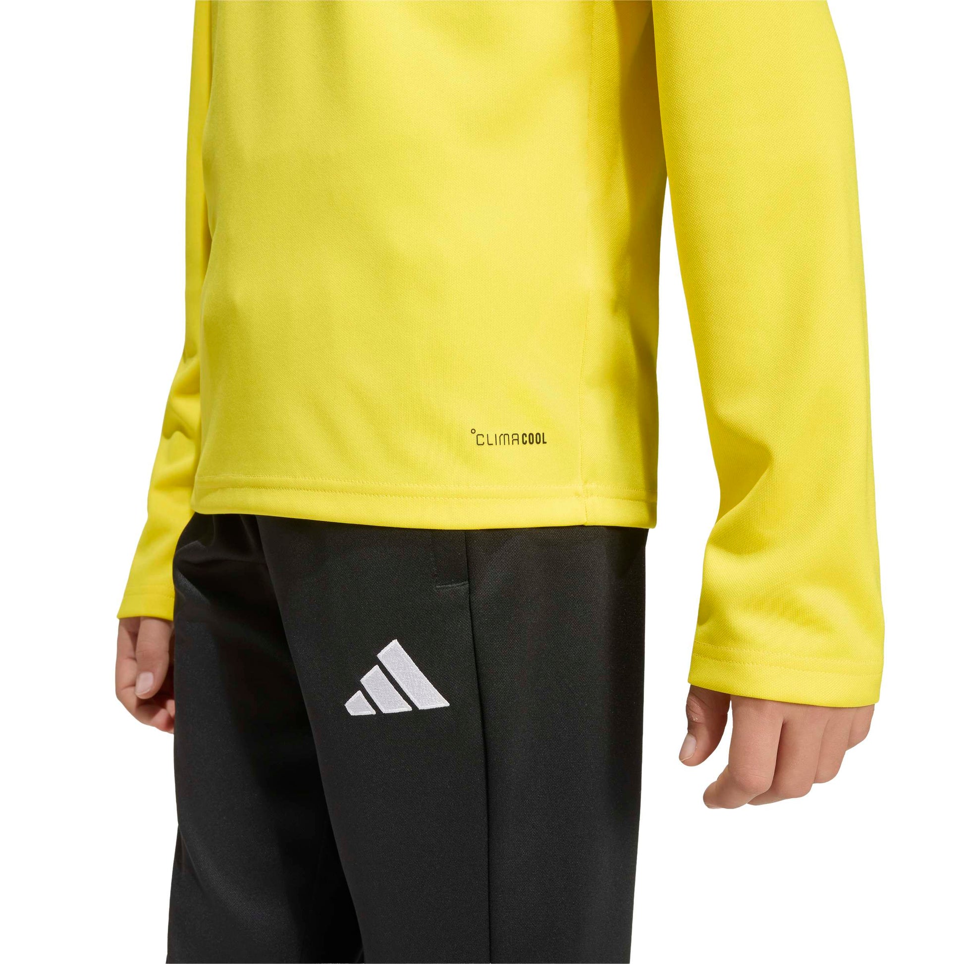 Team Yellow/White