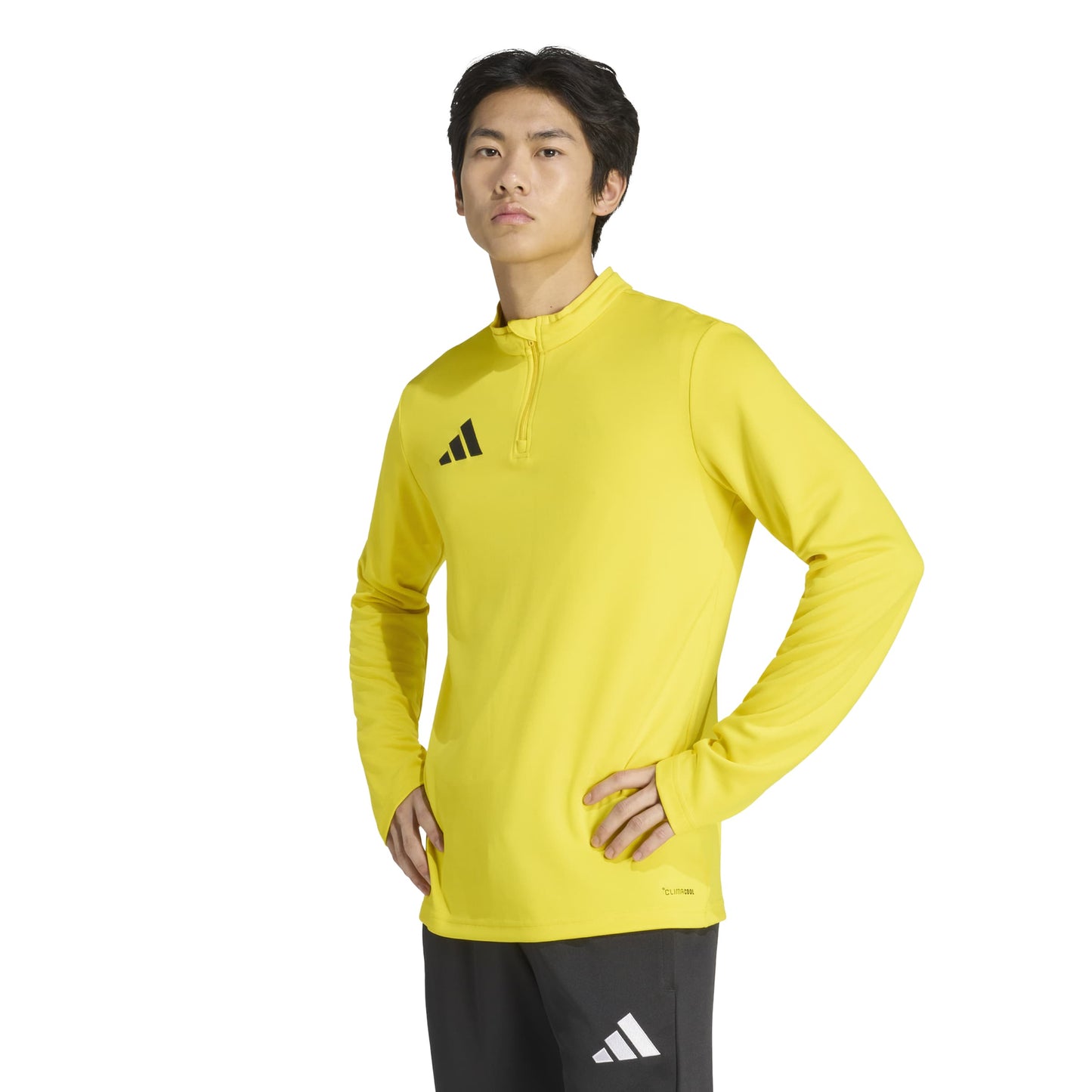 Team Yellow/White