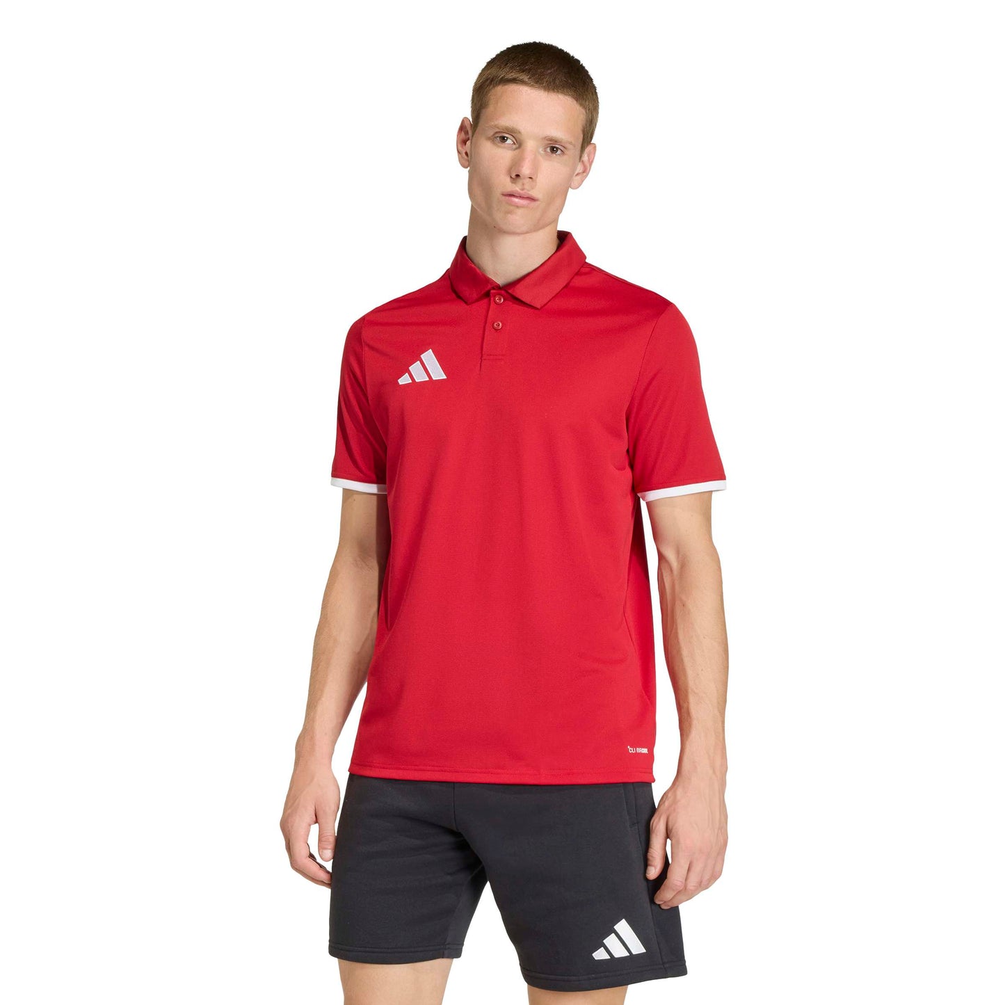 Team Power Red 2/White