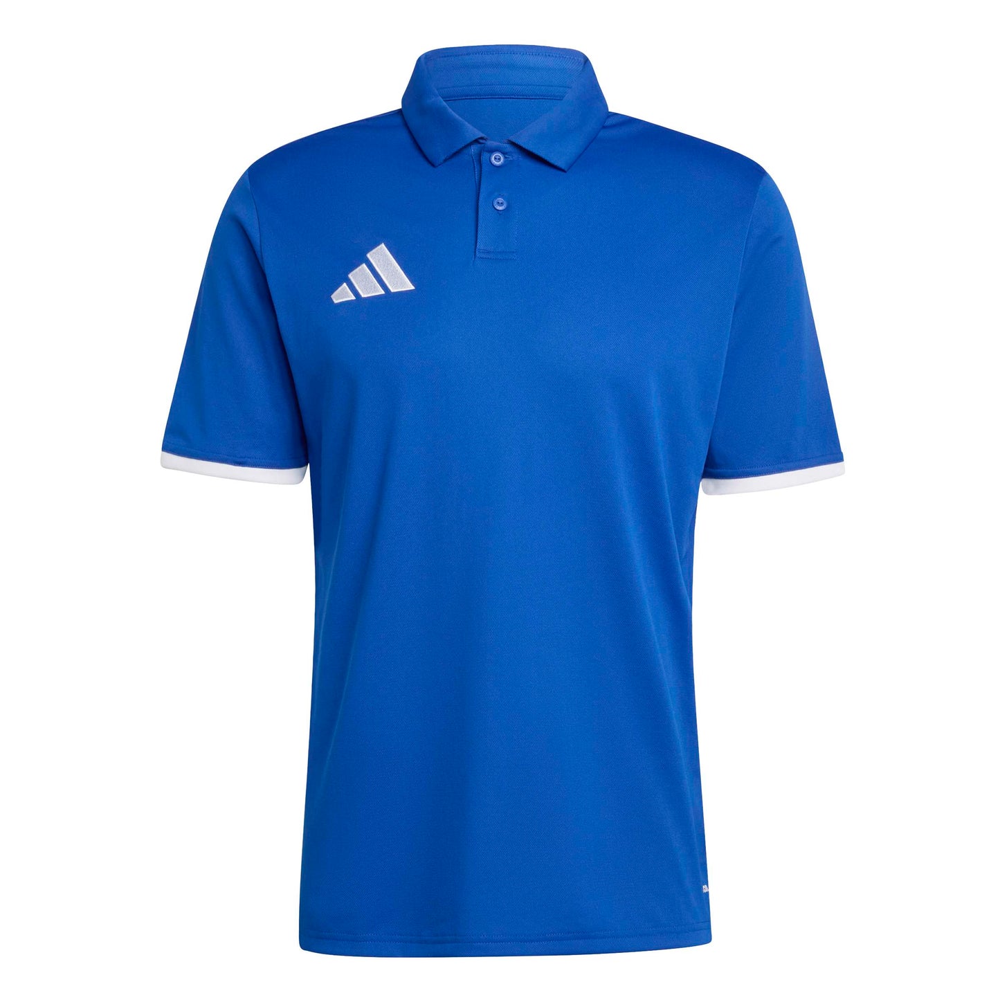 Team Royal Blue/White