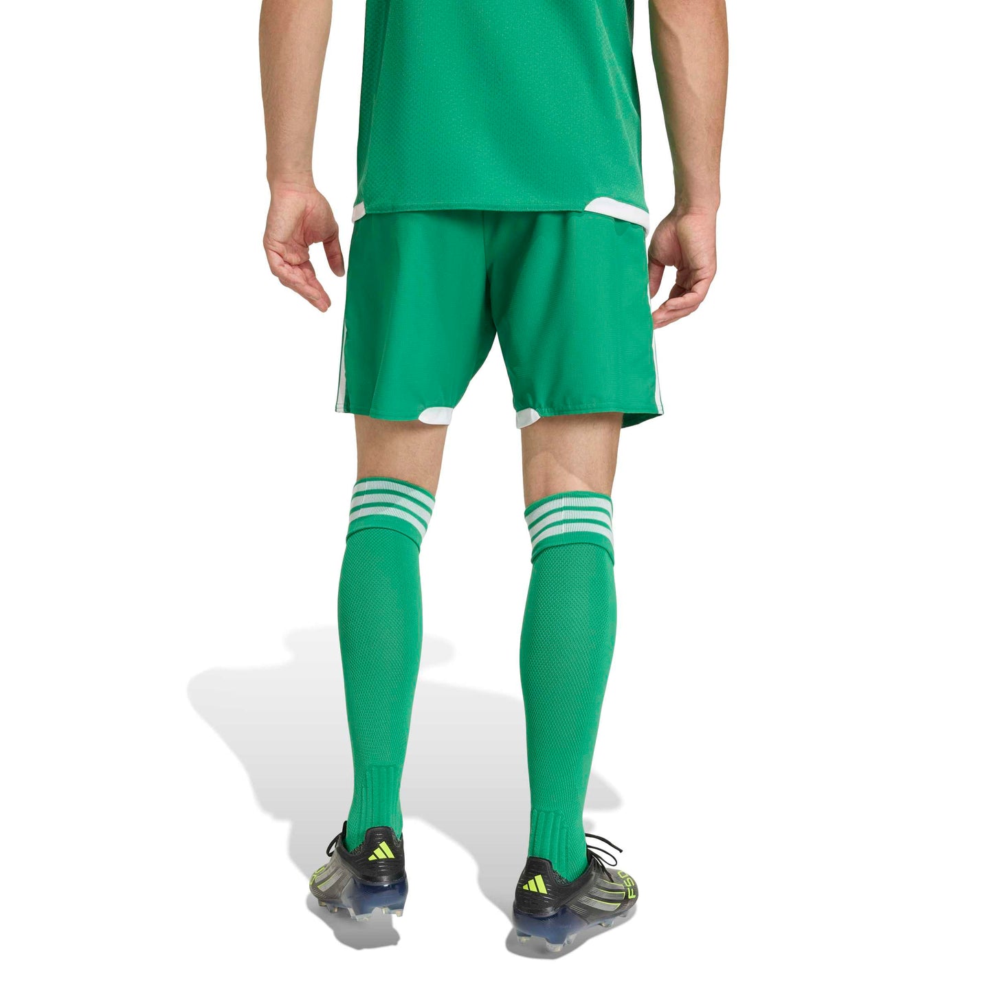 Team Green/White