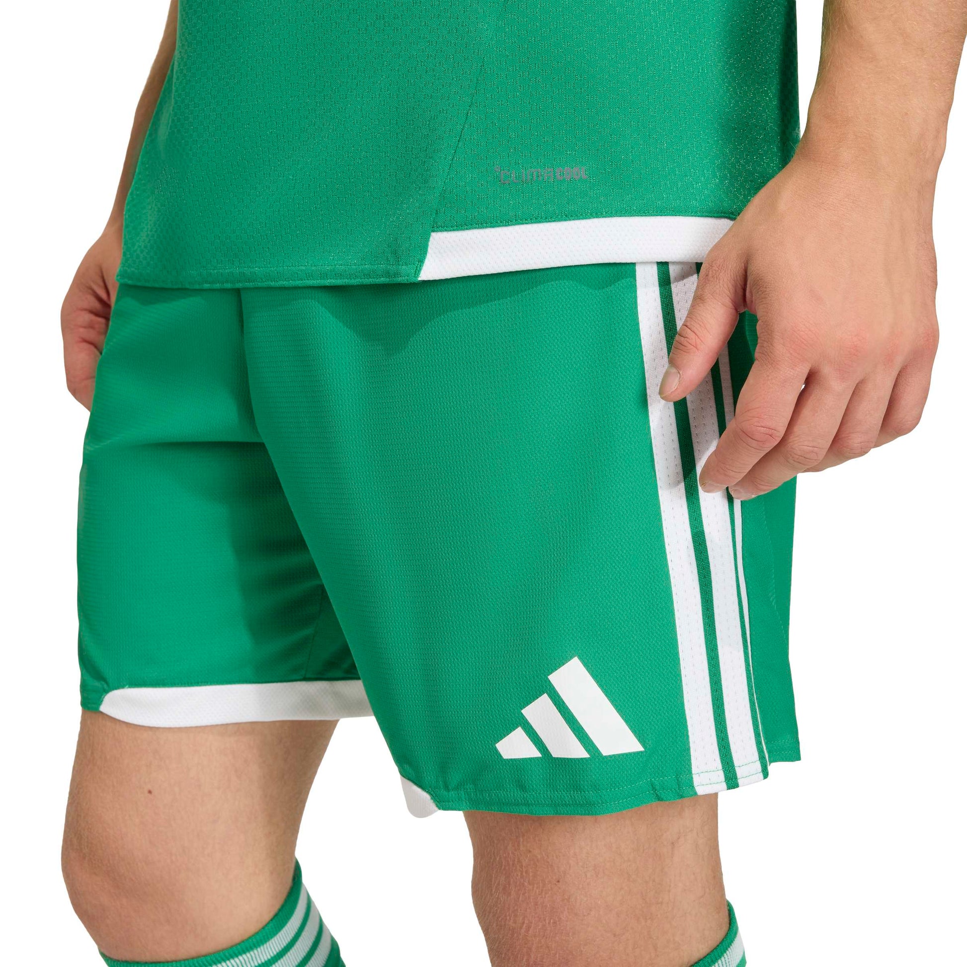 Team Green/White