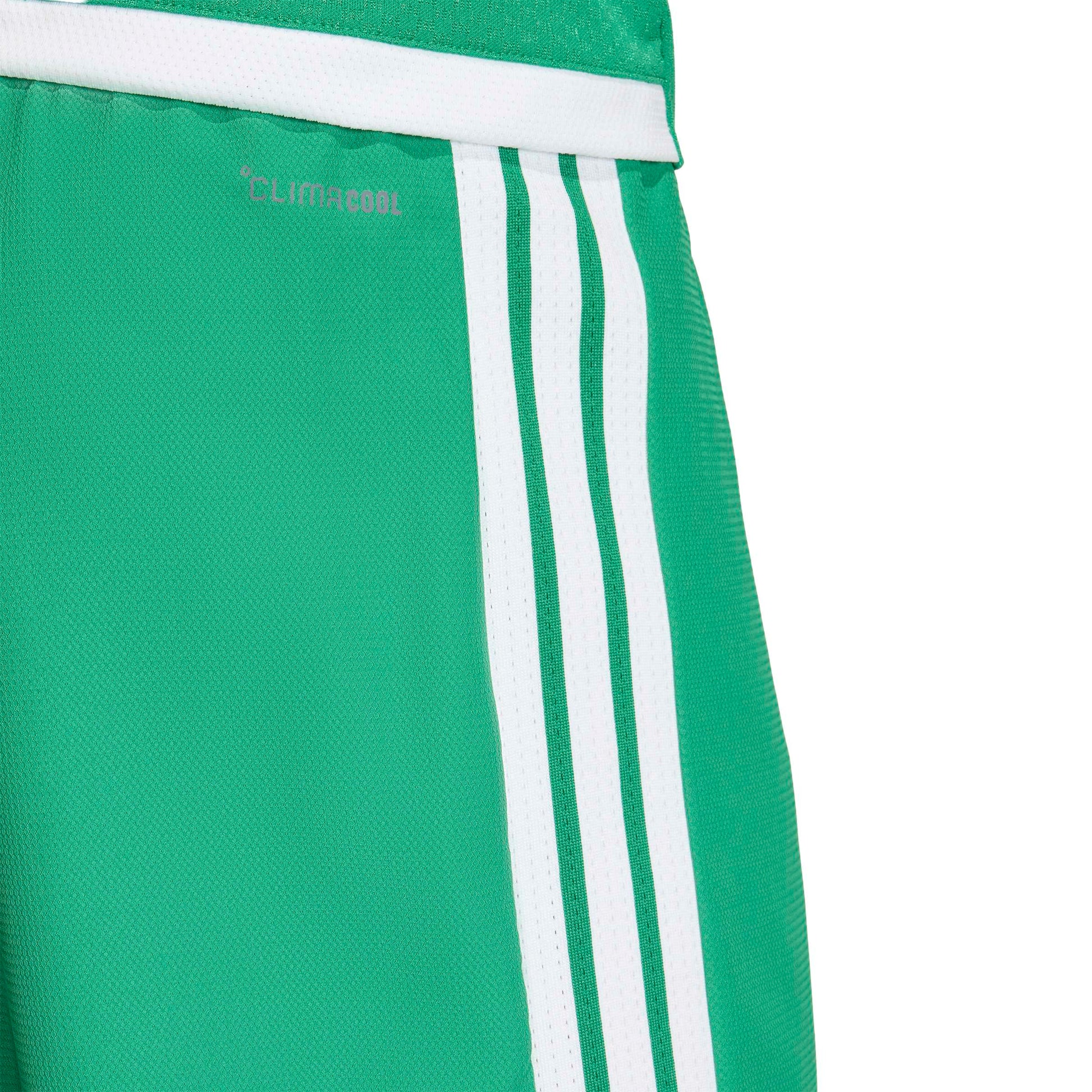 Team Green/White