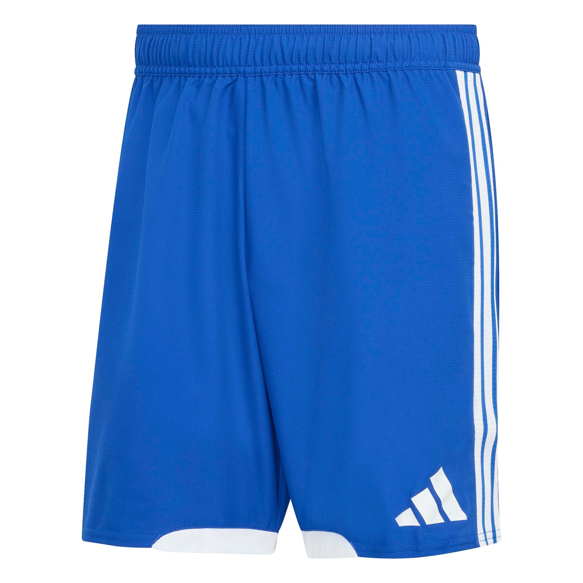 Team Royal Blue/White