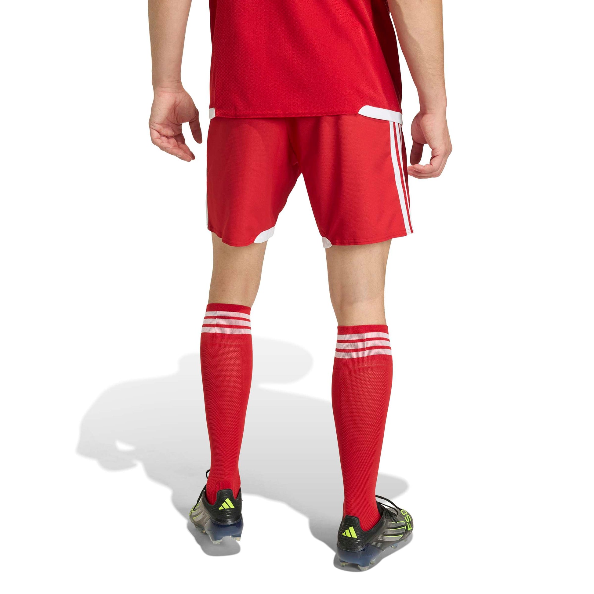 Team Power Red 2/White