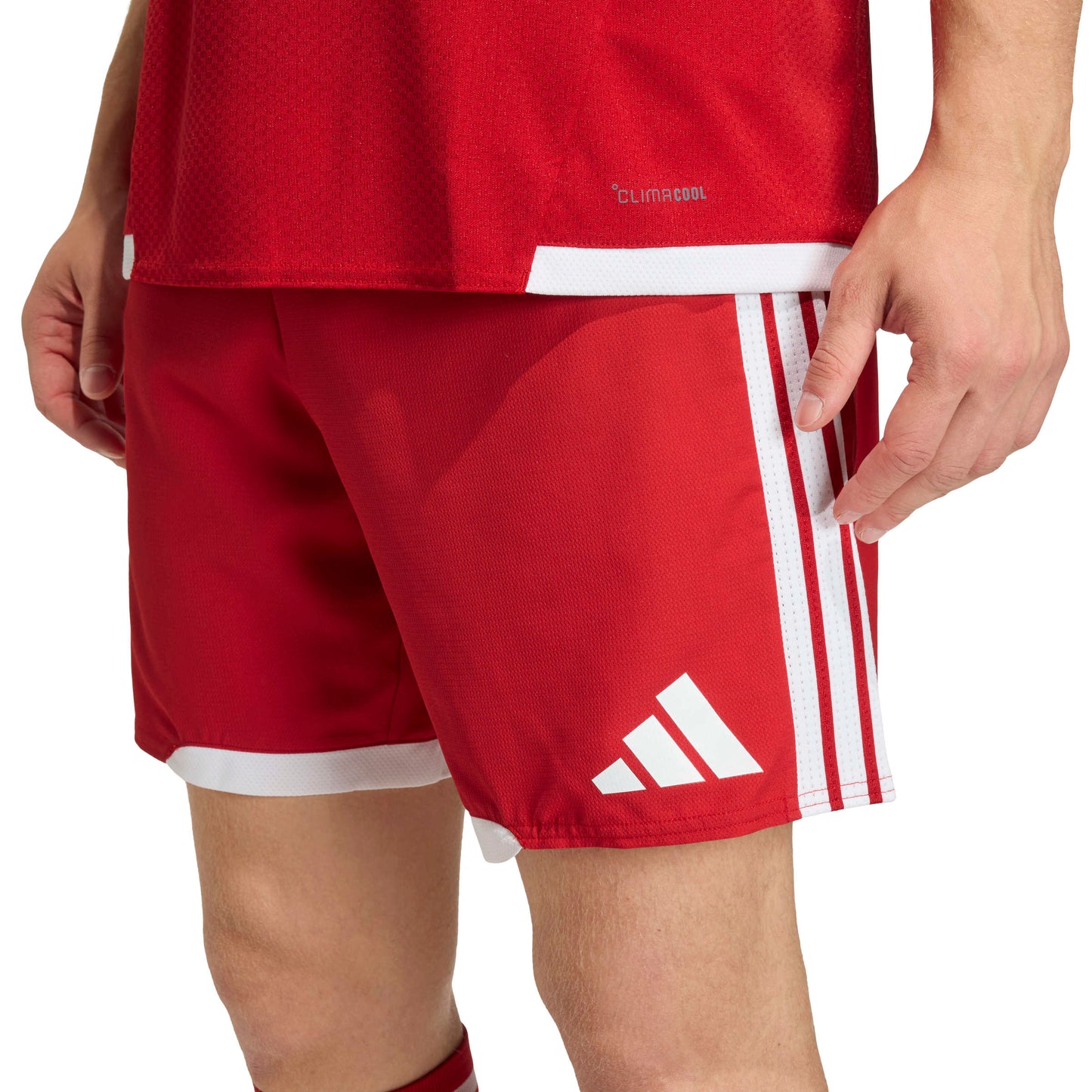 Team Power Red 2/White