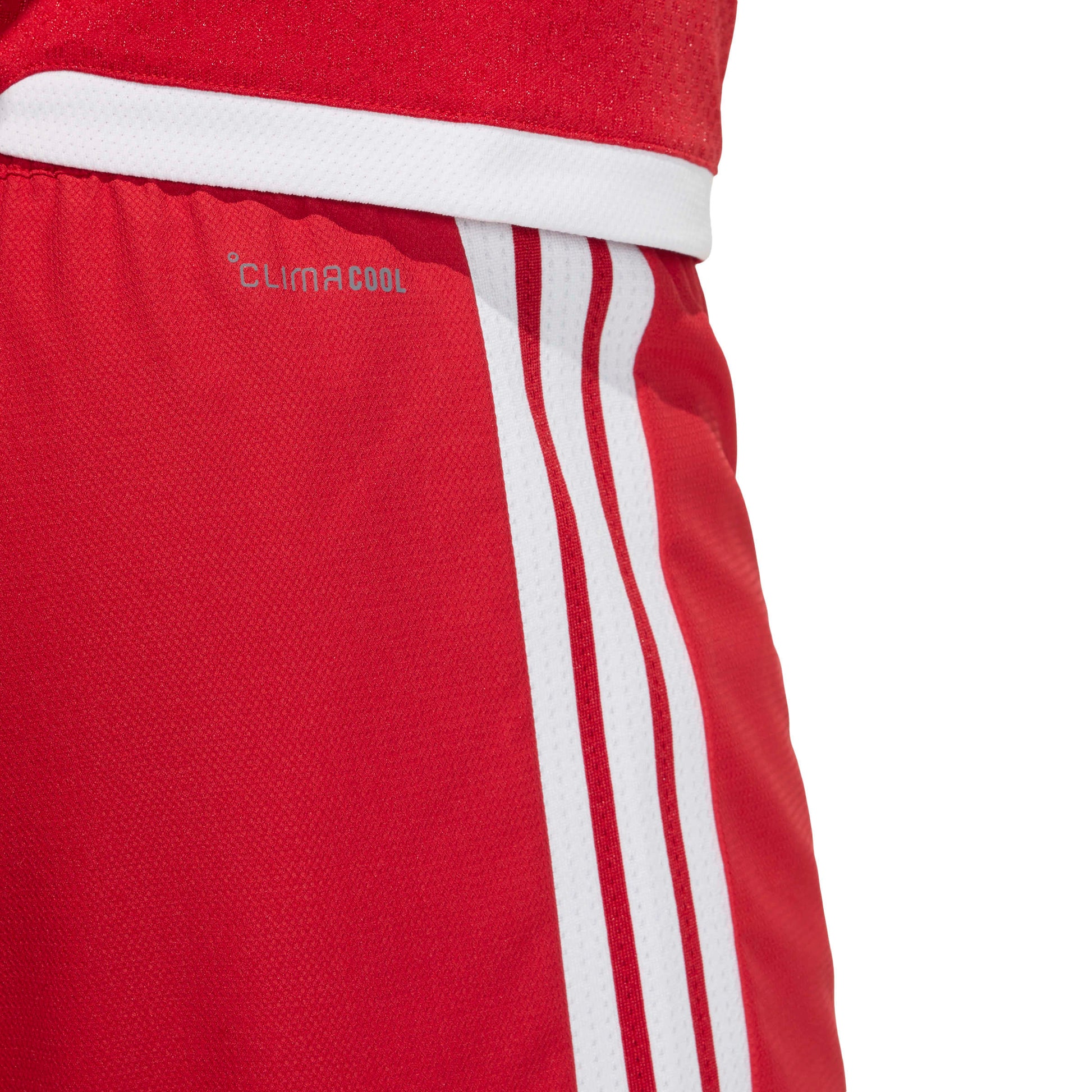 Team Power Red 2/White