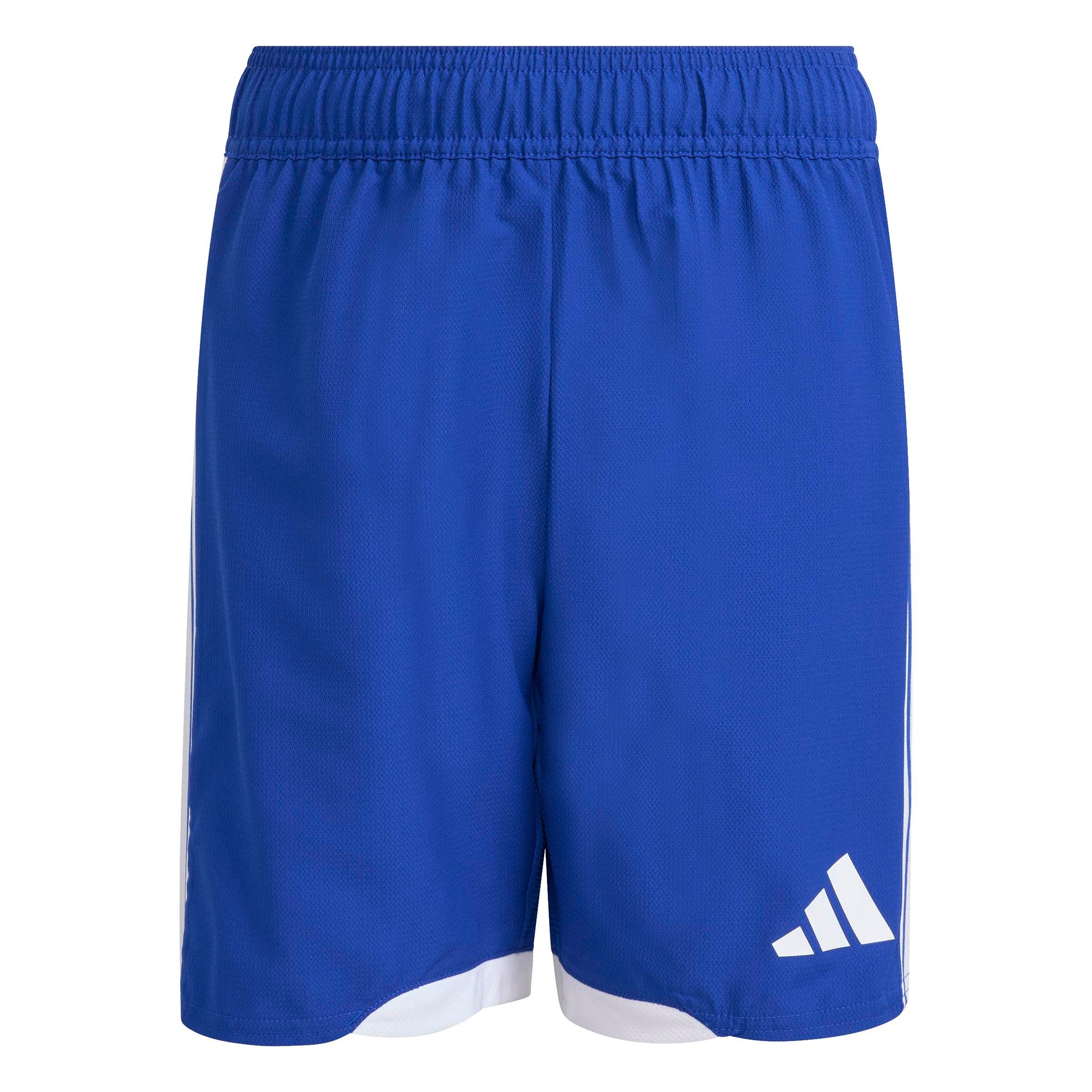 Team Royal Blue/White