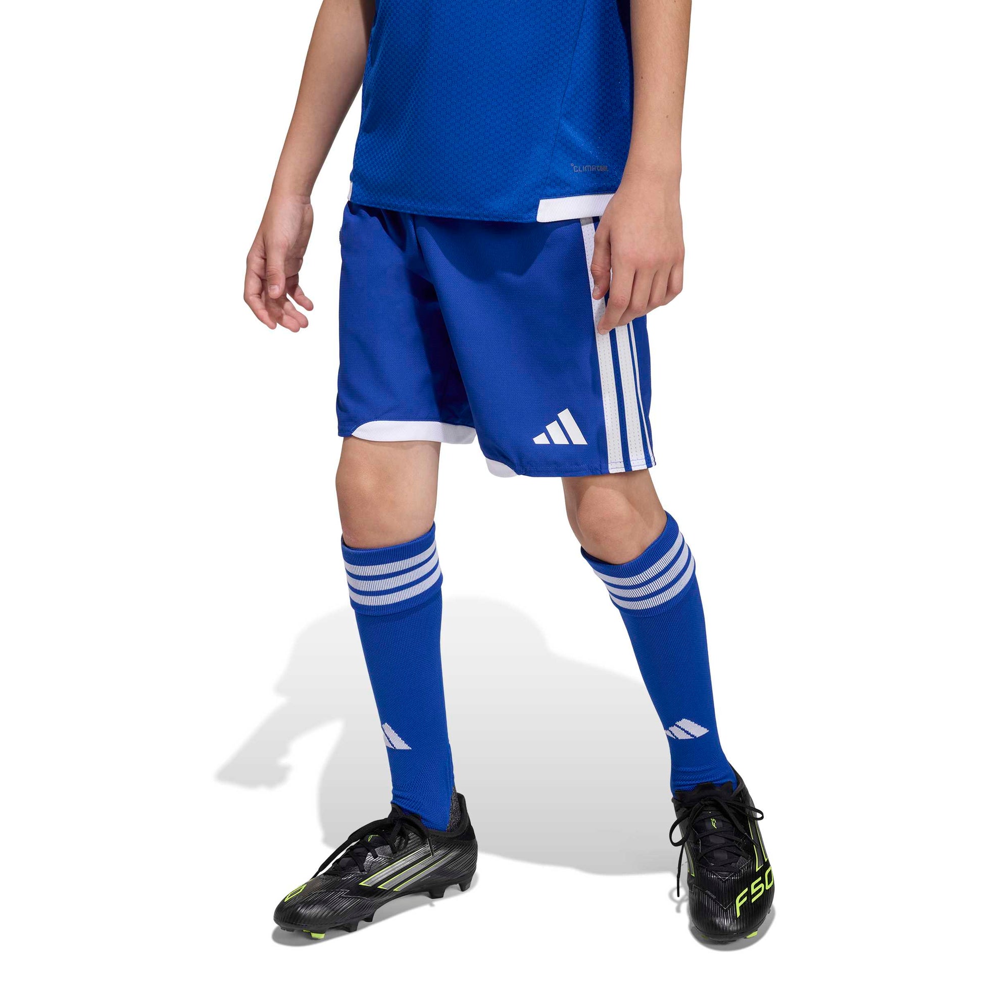 Team Royal Blue/White
