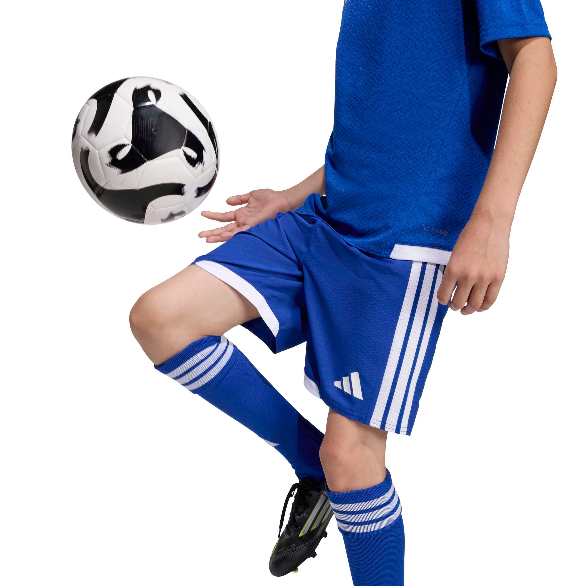Team Royal Blue/White