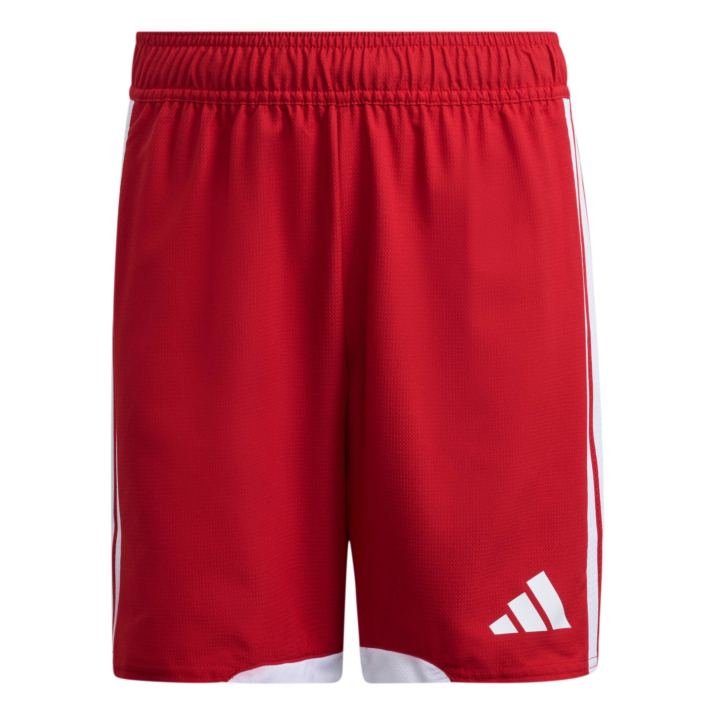 Team Power Red 2/White