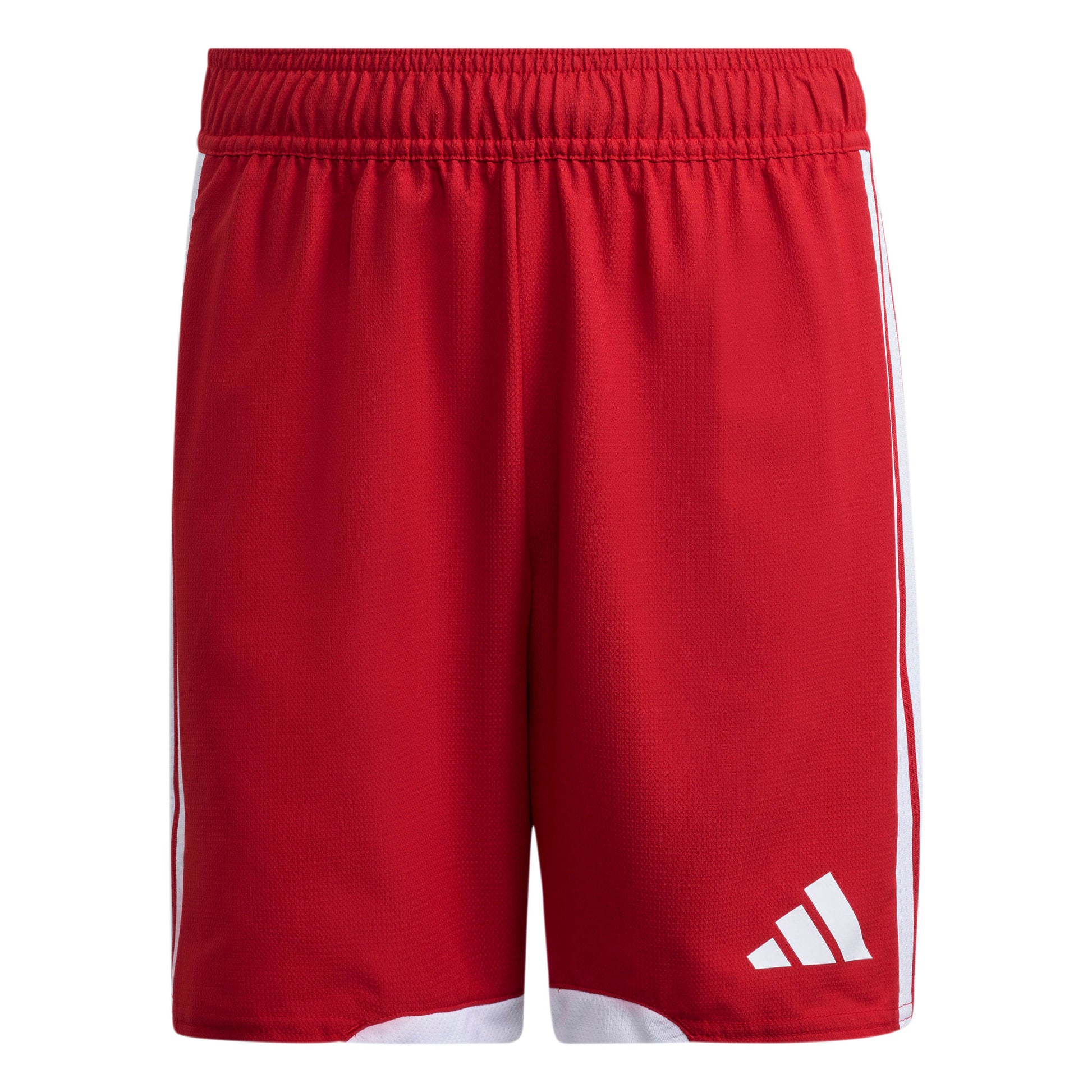Team Power Red 2/White