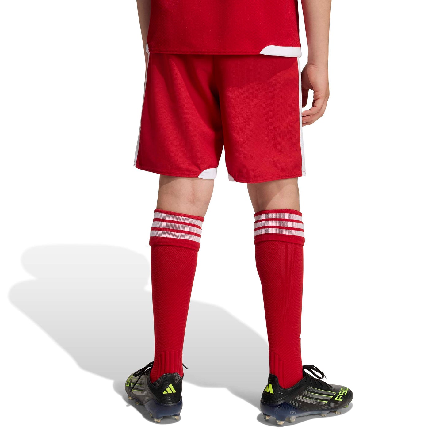 Team Power Red 2/White