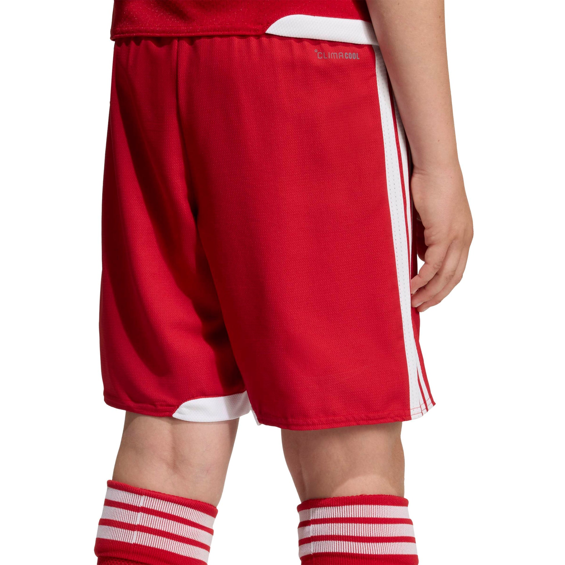 Team Power Red 2/White