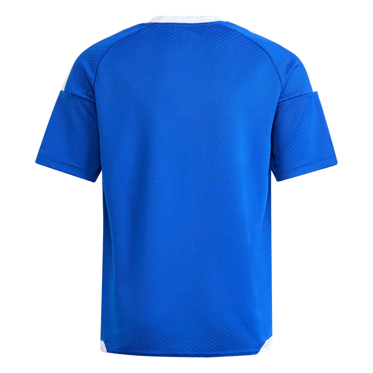 Team Royal Blue/White