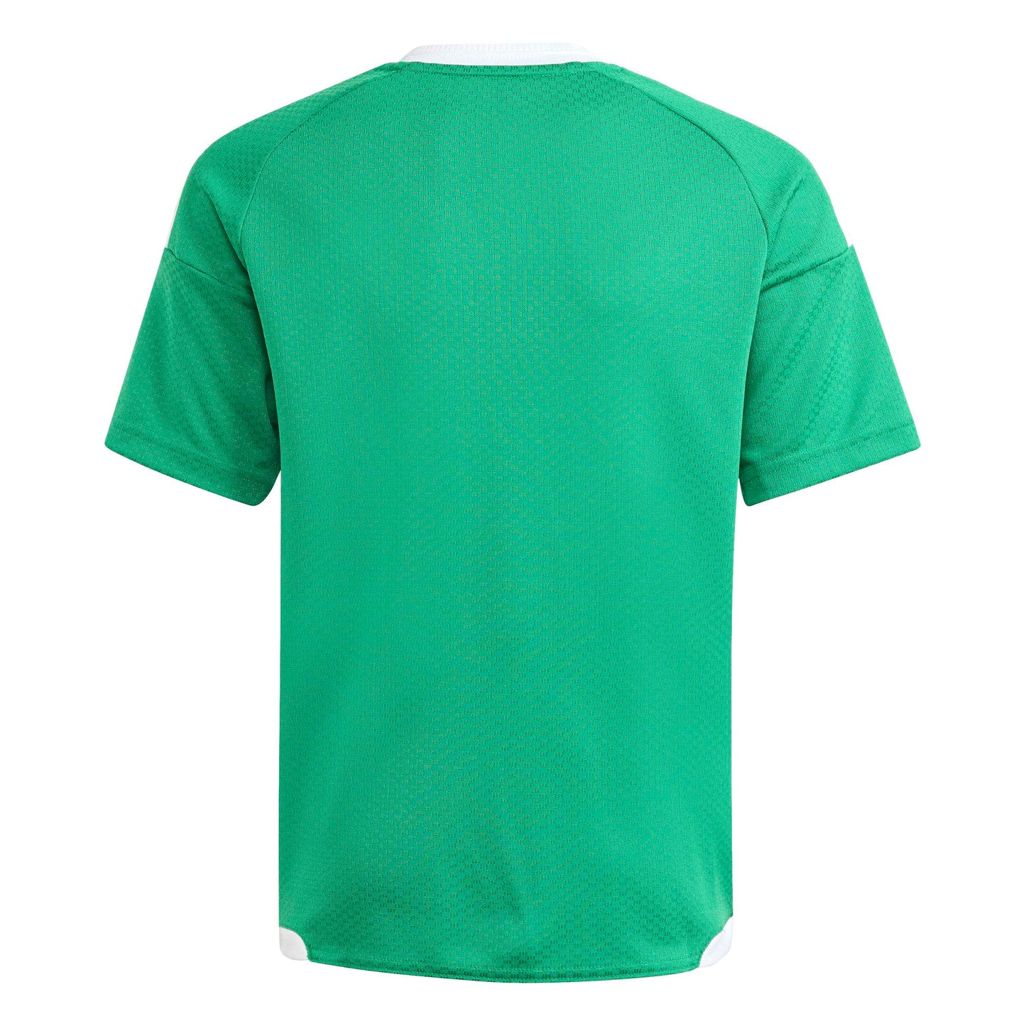 Team Green/White